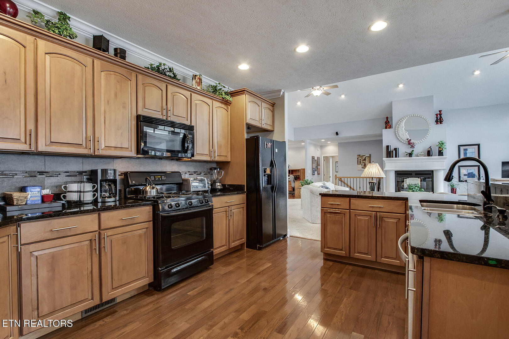 524 Bonne Vista Drive White Pine TN 37890