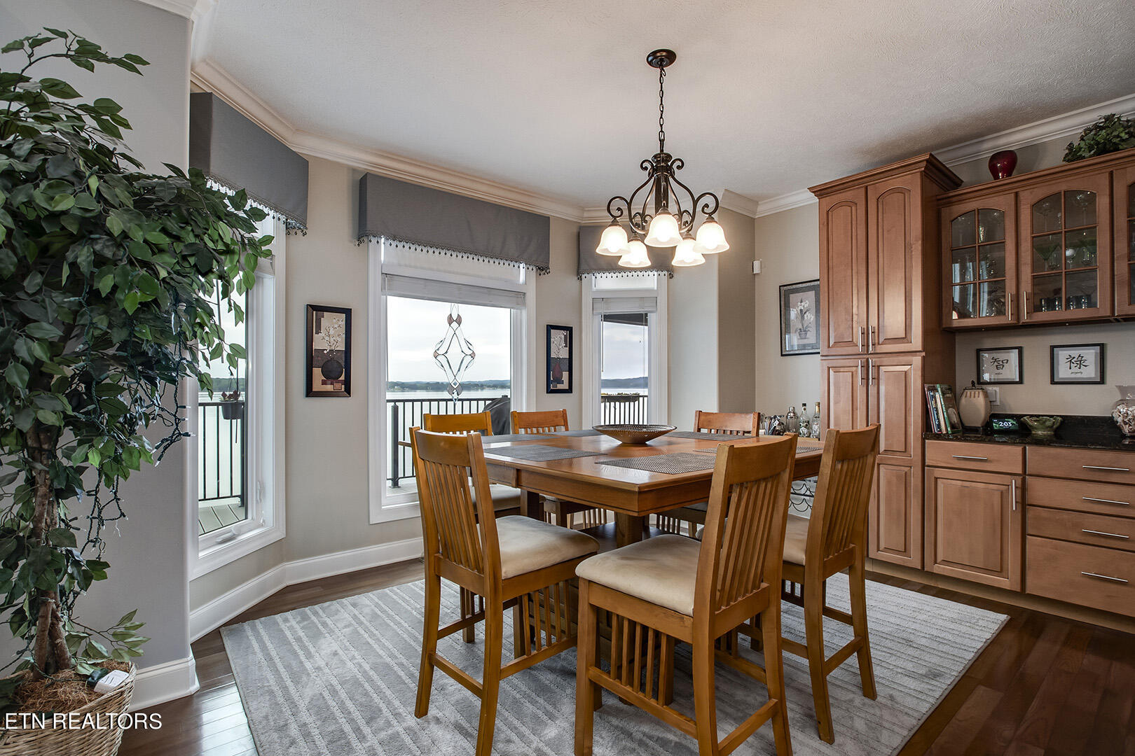 524 Bonne Vista Drive White Pine TN 37890