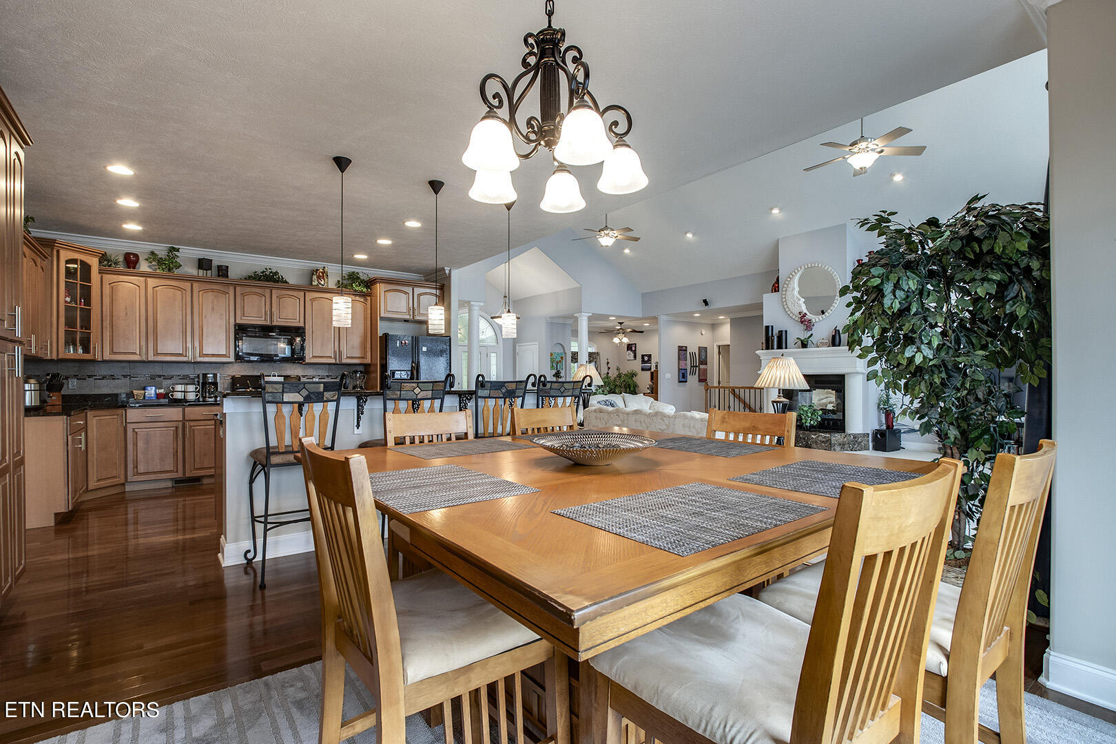 524 Bonne Vista Drive White Pine TN 37890