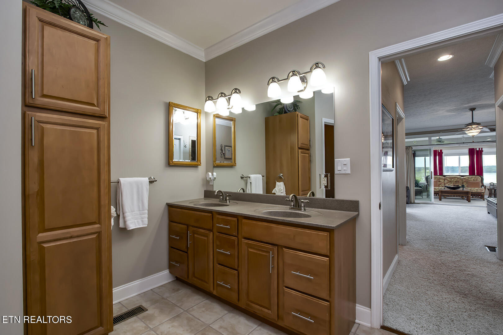 524 Bonne Vista Drive White Pine TN 37890
