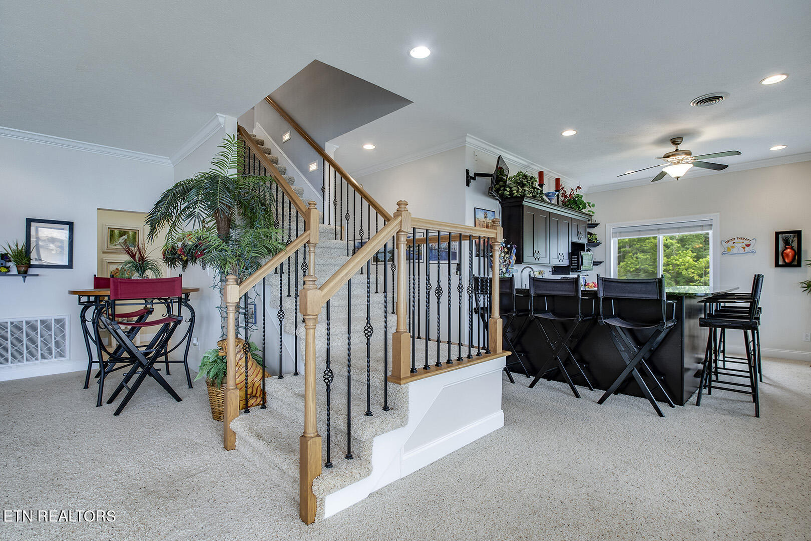 524 Bonne Vista Drive White Pine TN 37890