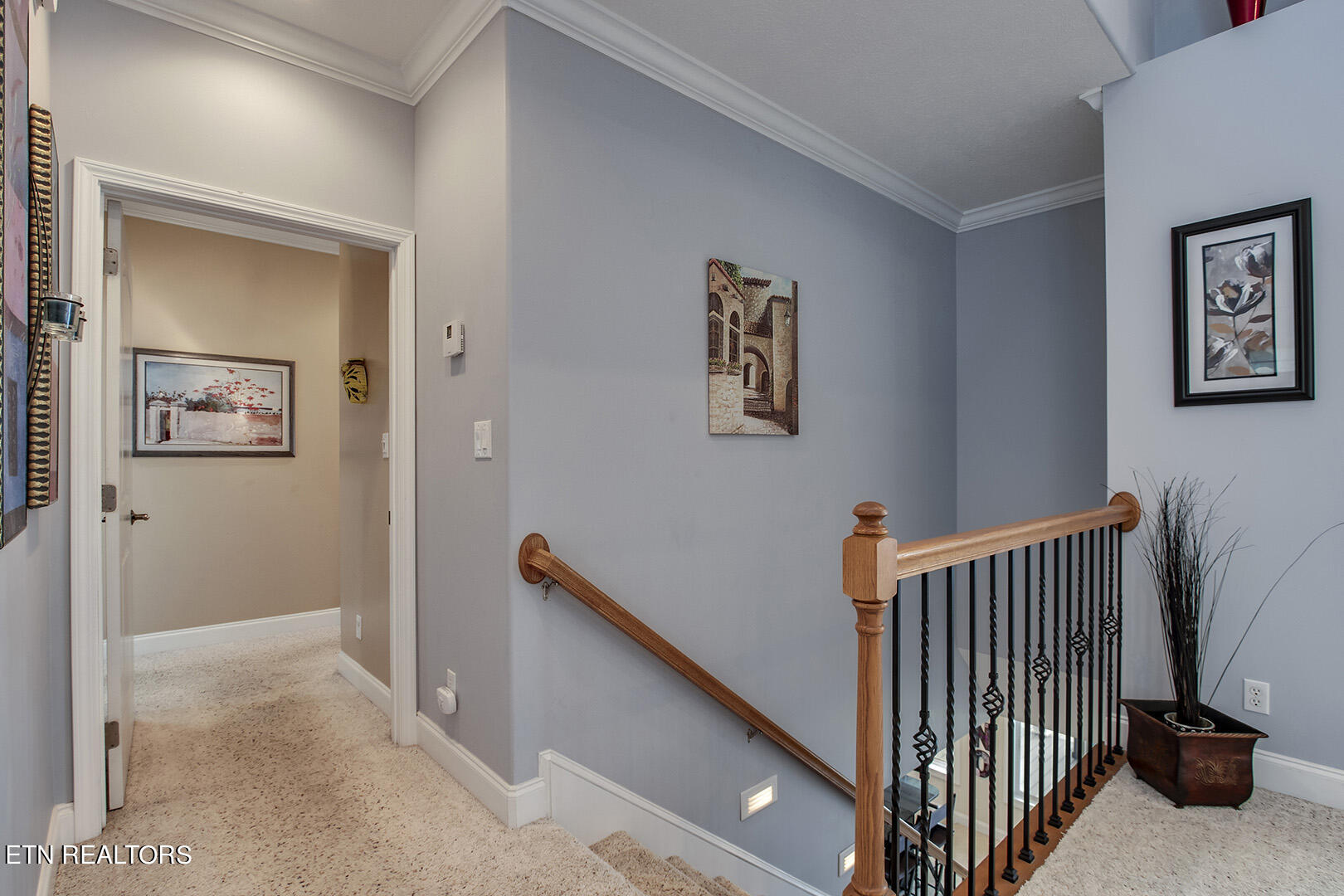 524 Bonne Vista Drive White Pine TN 37890