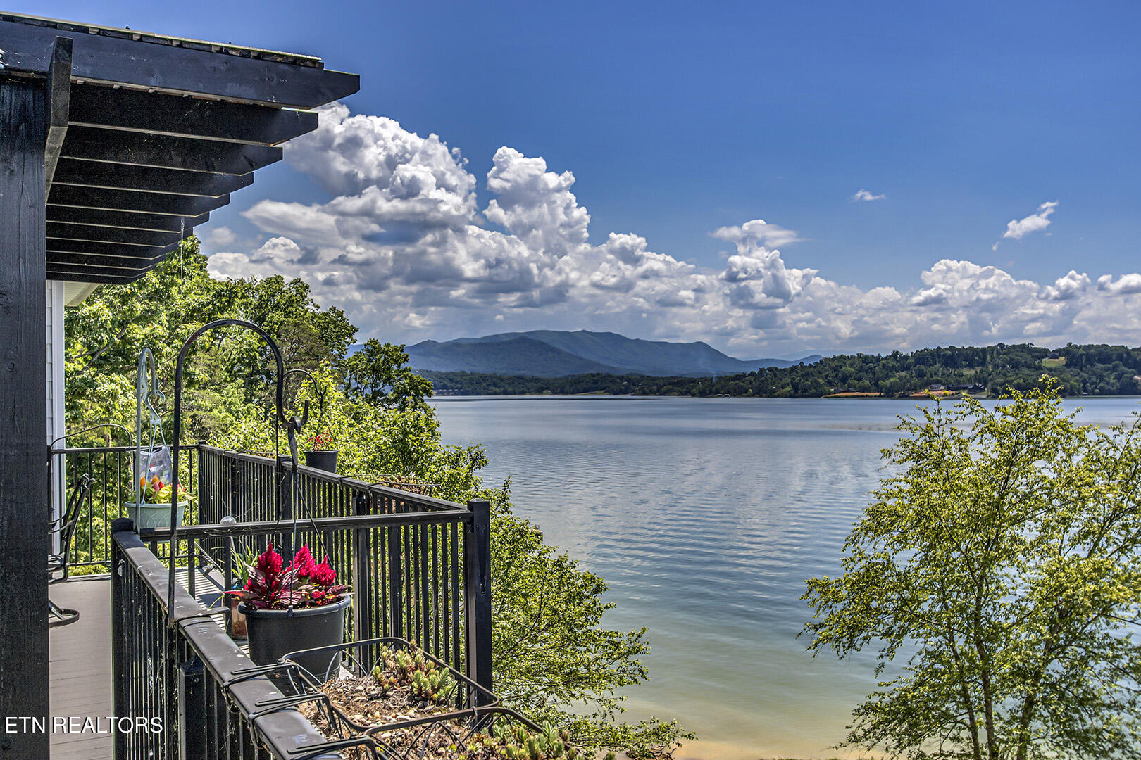 524 Bonne Vista Drive White Pine TN 37890
