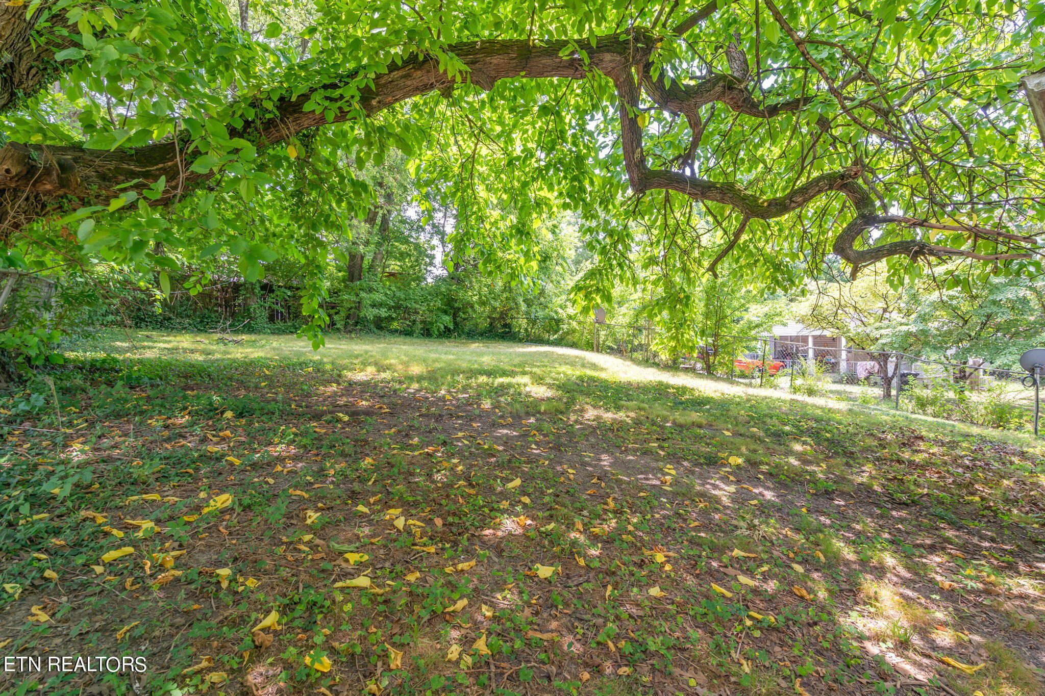 222 W Columbia Avenue Knoxville TN 37917