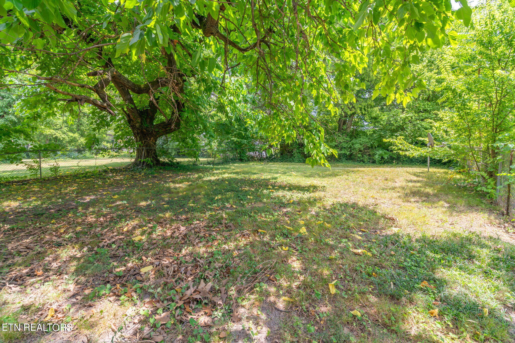 222 W Columbia Avenue Knoxville TN 37917