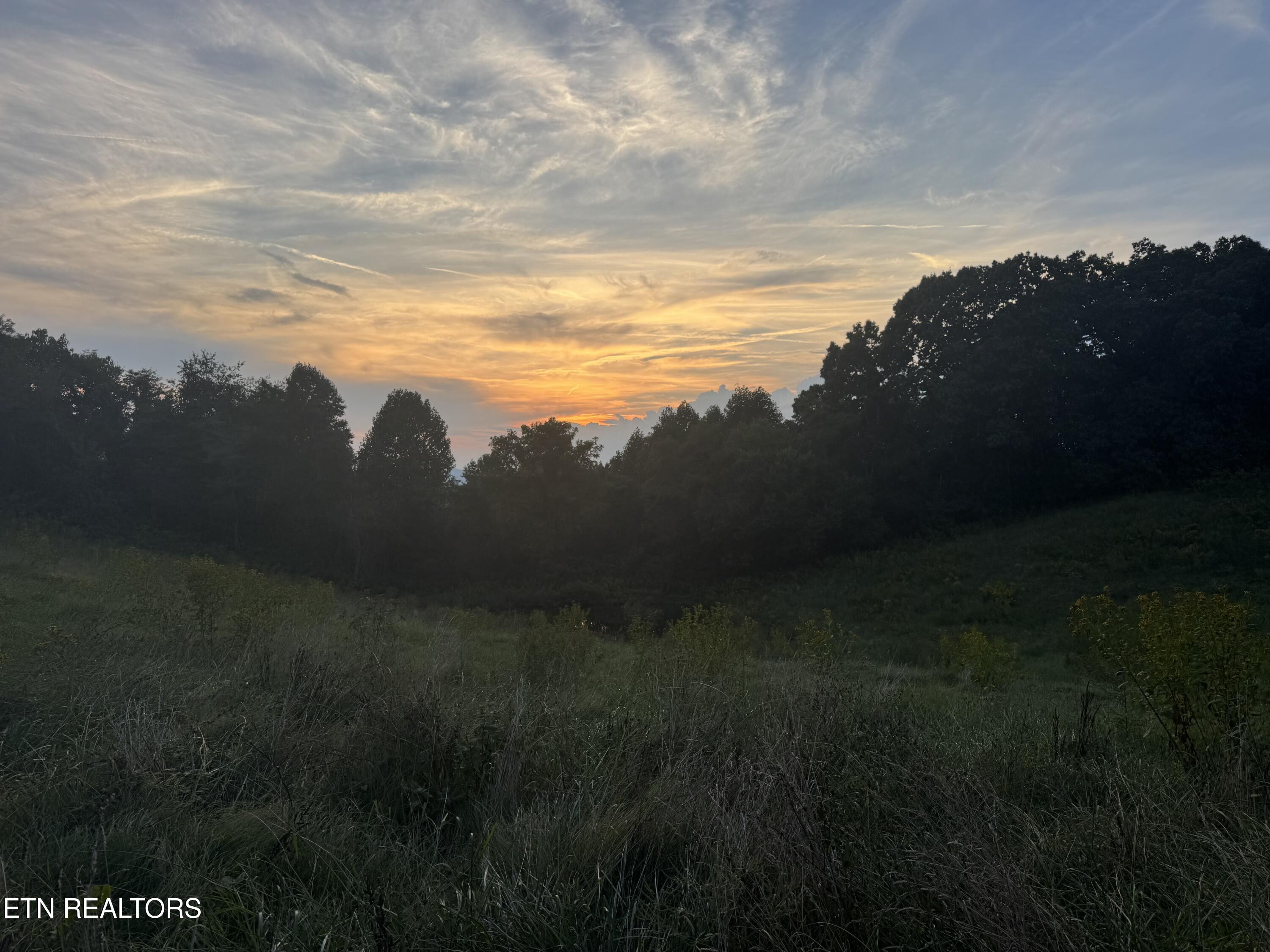 2961 Forge Ridge Road Harrogate TN 37752