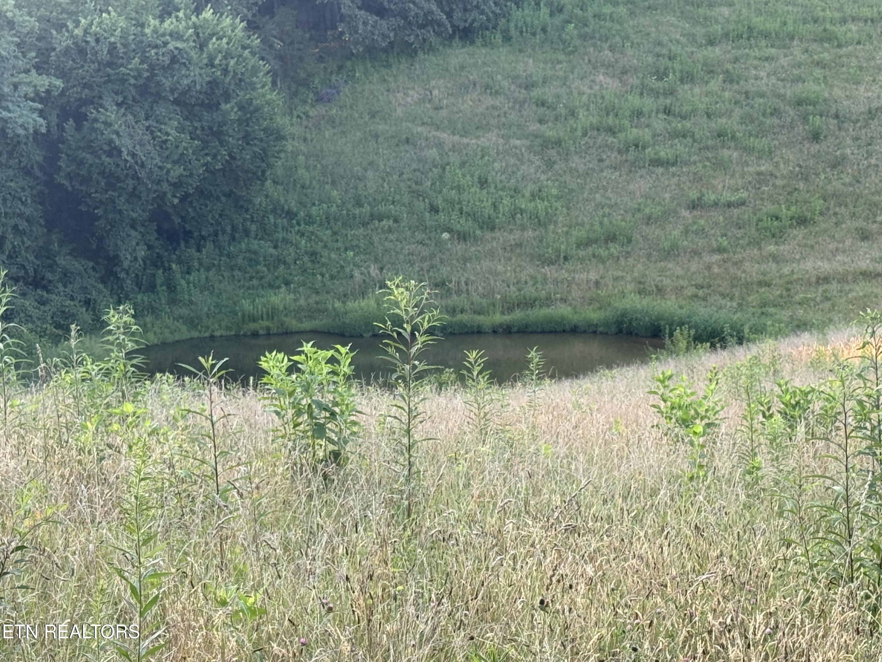 2961 Forge Ridge Road Harrogate TN 37752