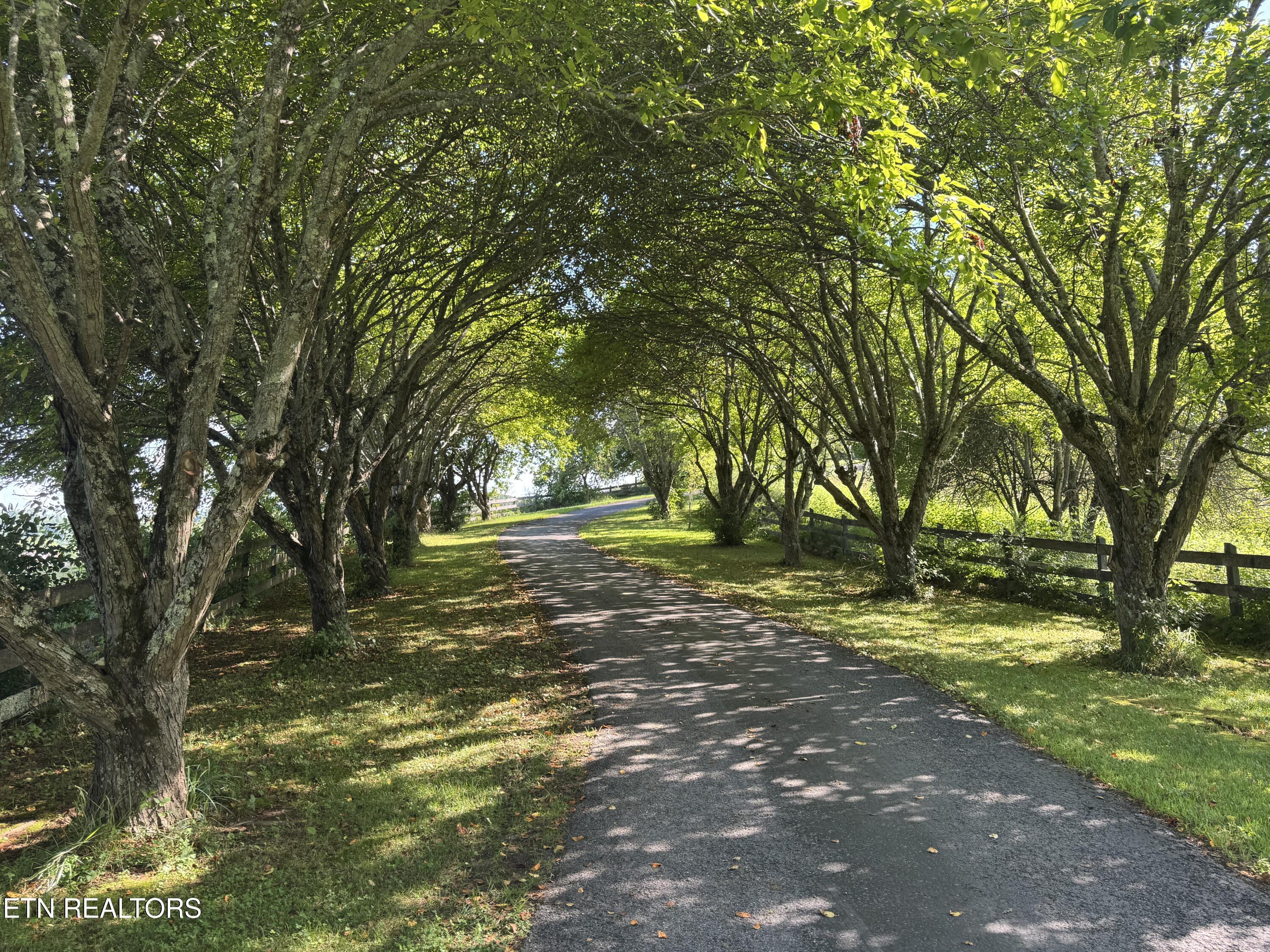 2961 Forge Ridge Road Harrogate TN 37752