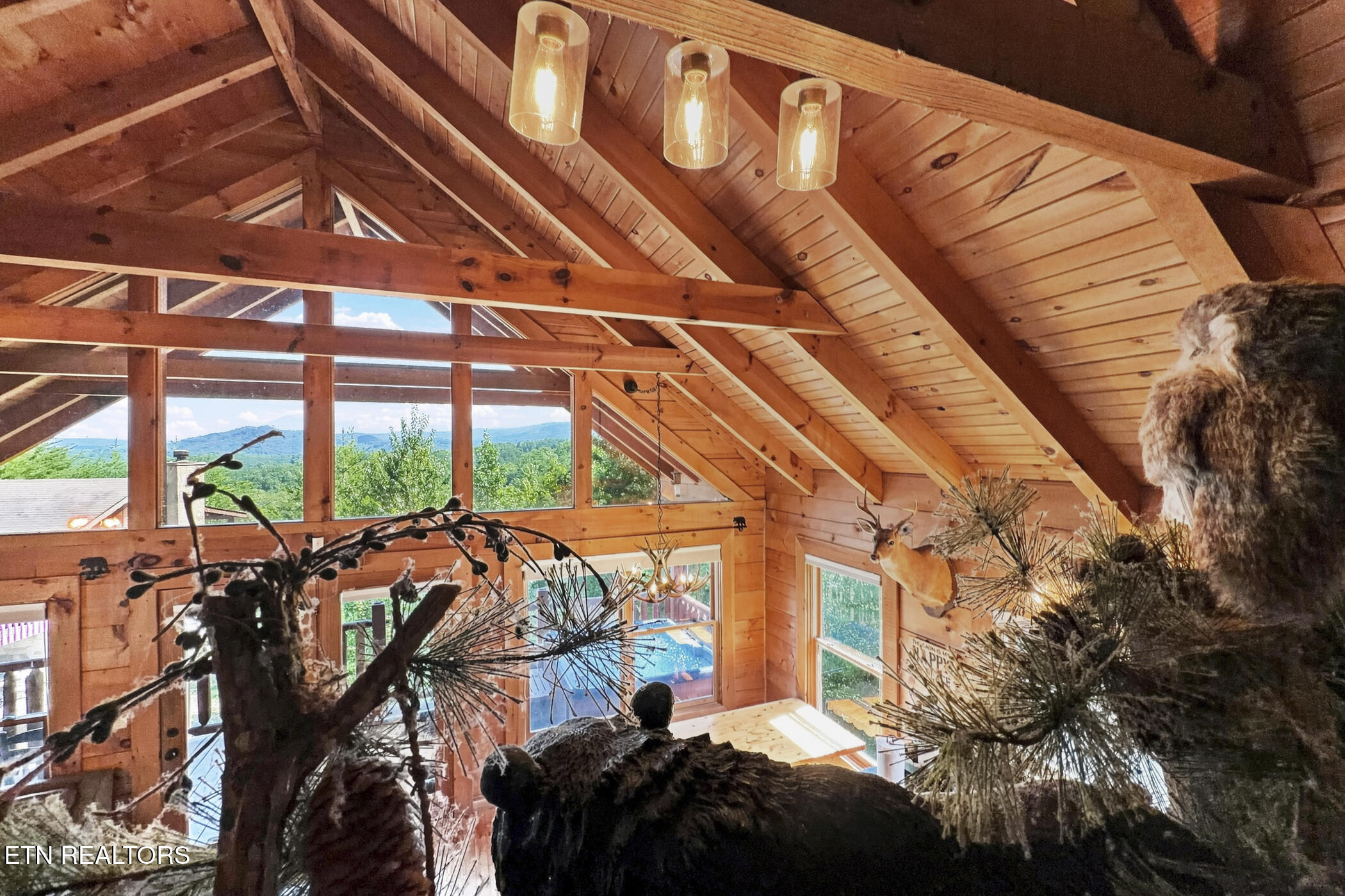 1713 Bear View Road Sevierville TN 37876