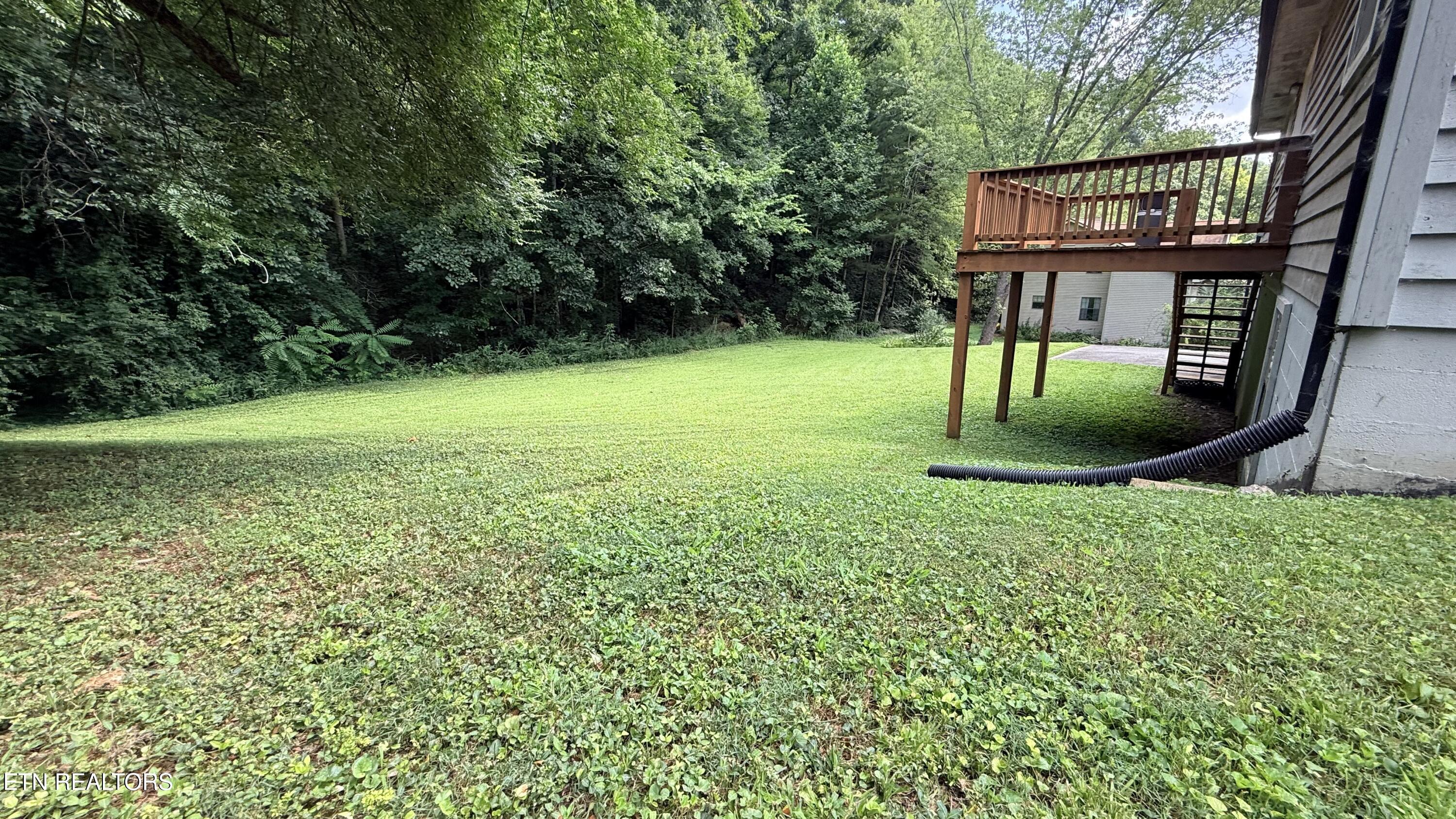4905 Wilkshire Drive Knoxville TN 37921