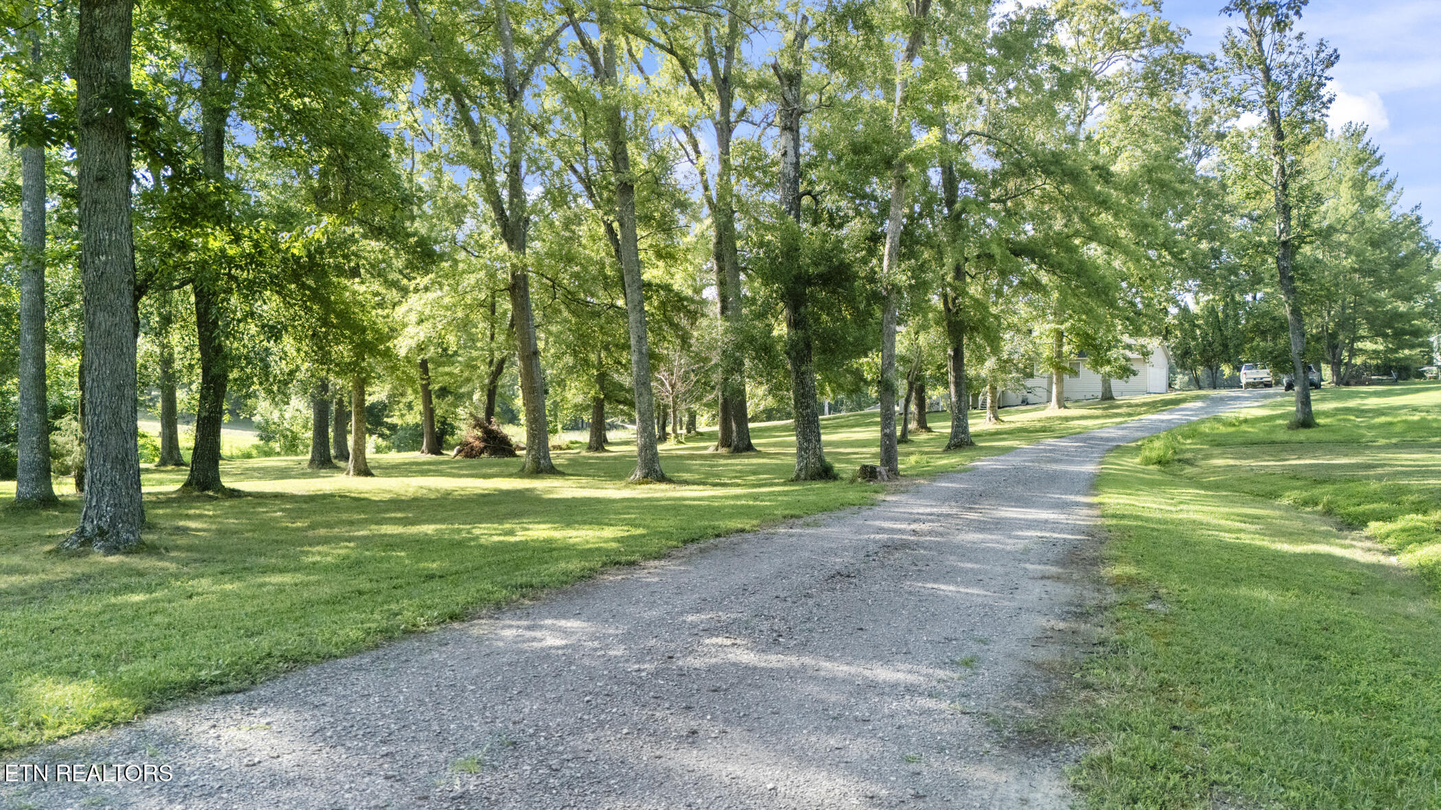 3447 Mountain View Lane Baneberry TN 37890