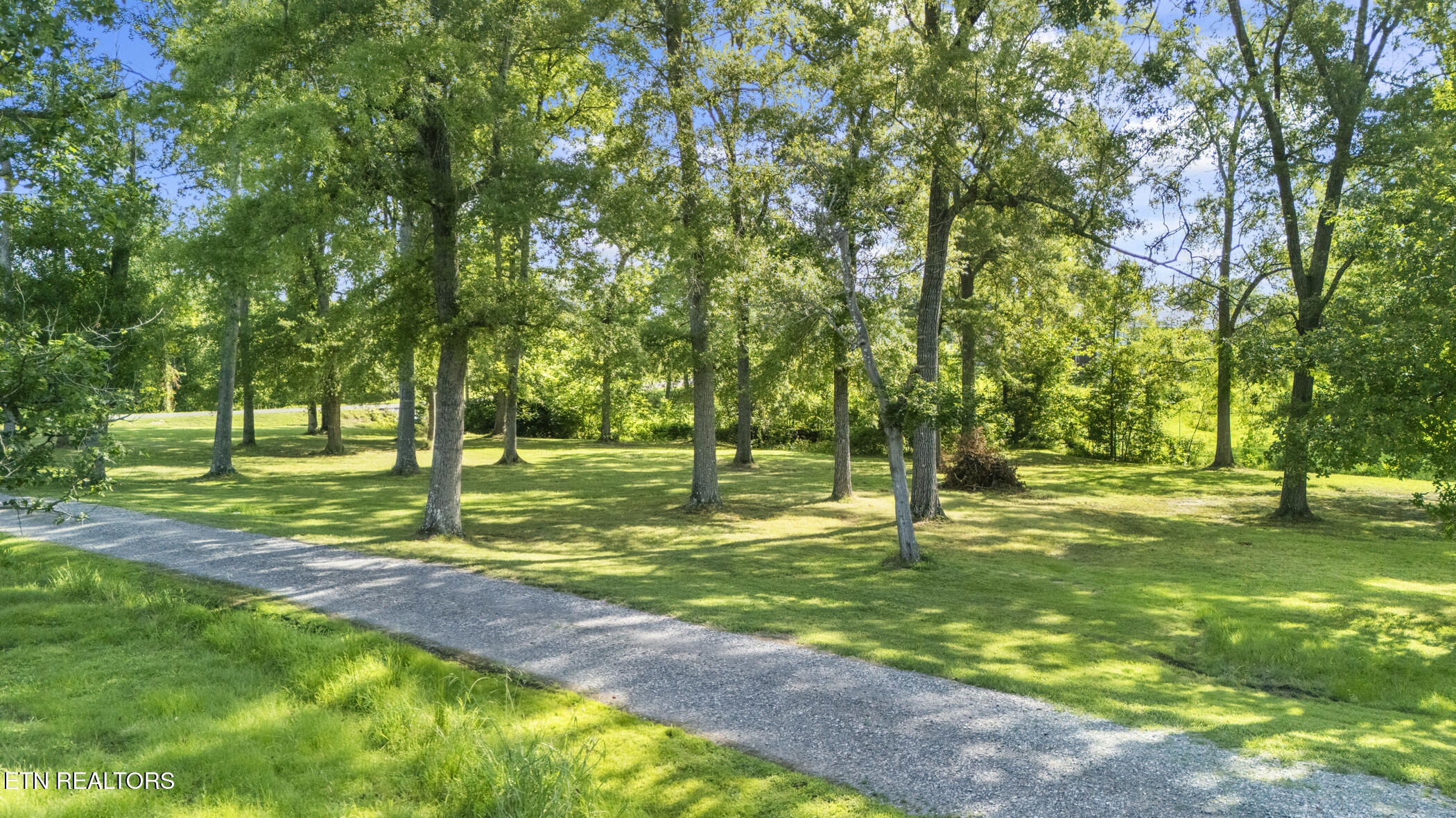 3447 Mountain View Lane Baneberry TN 37890