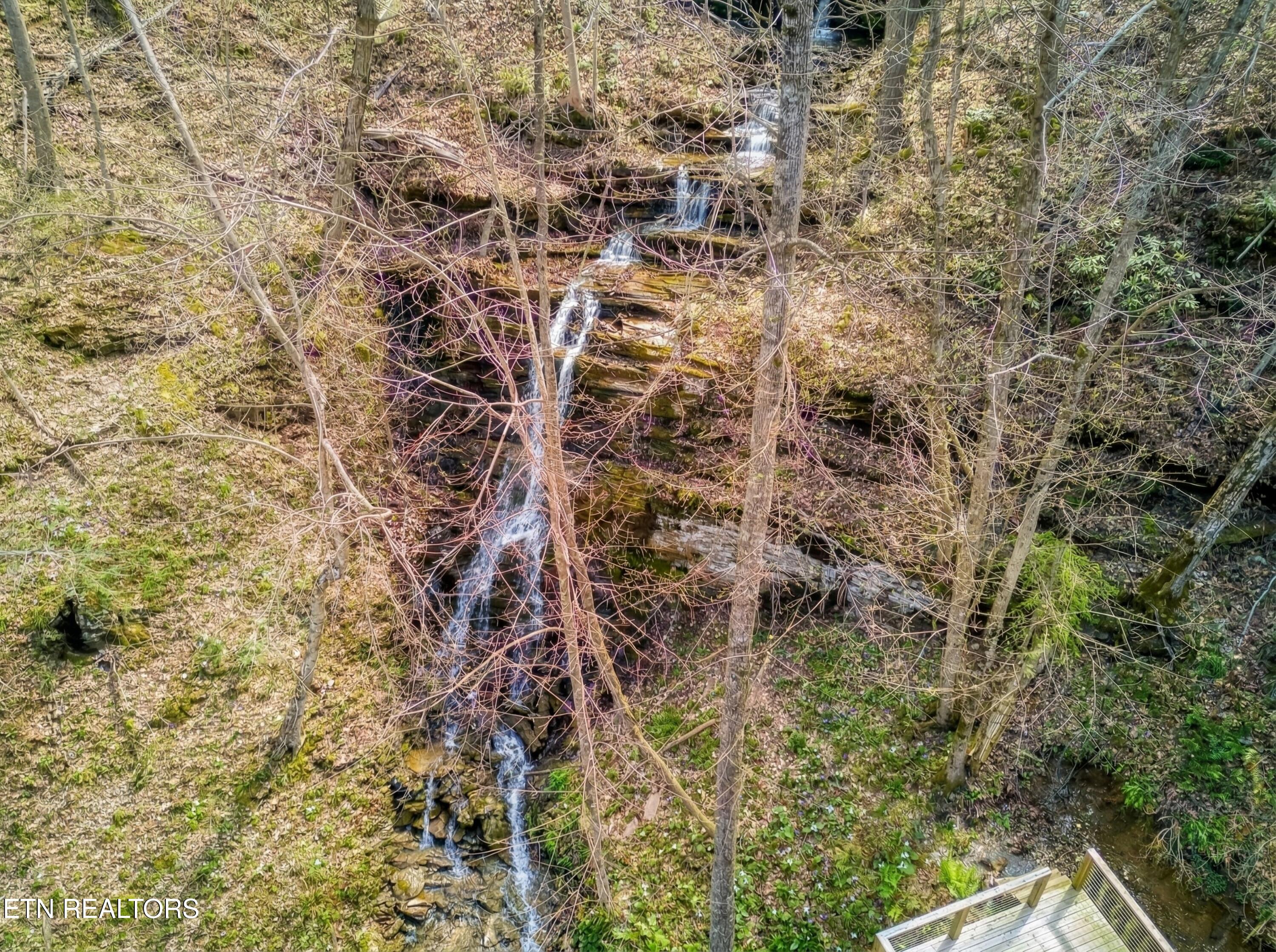 3119 Mitzi Way Sevierville TN 37862