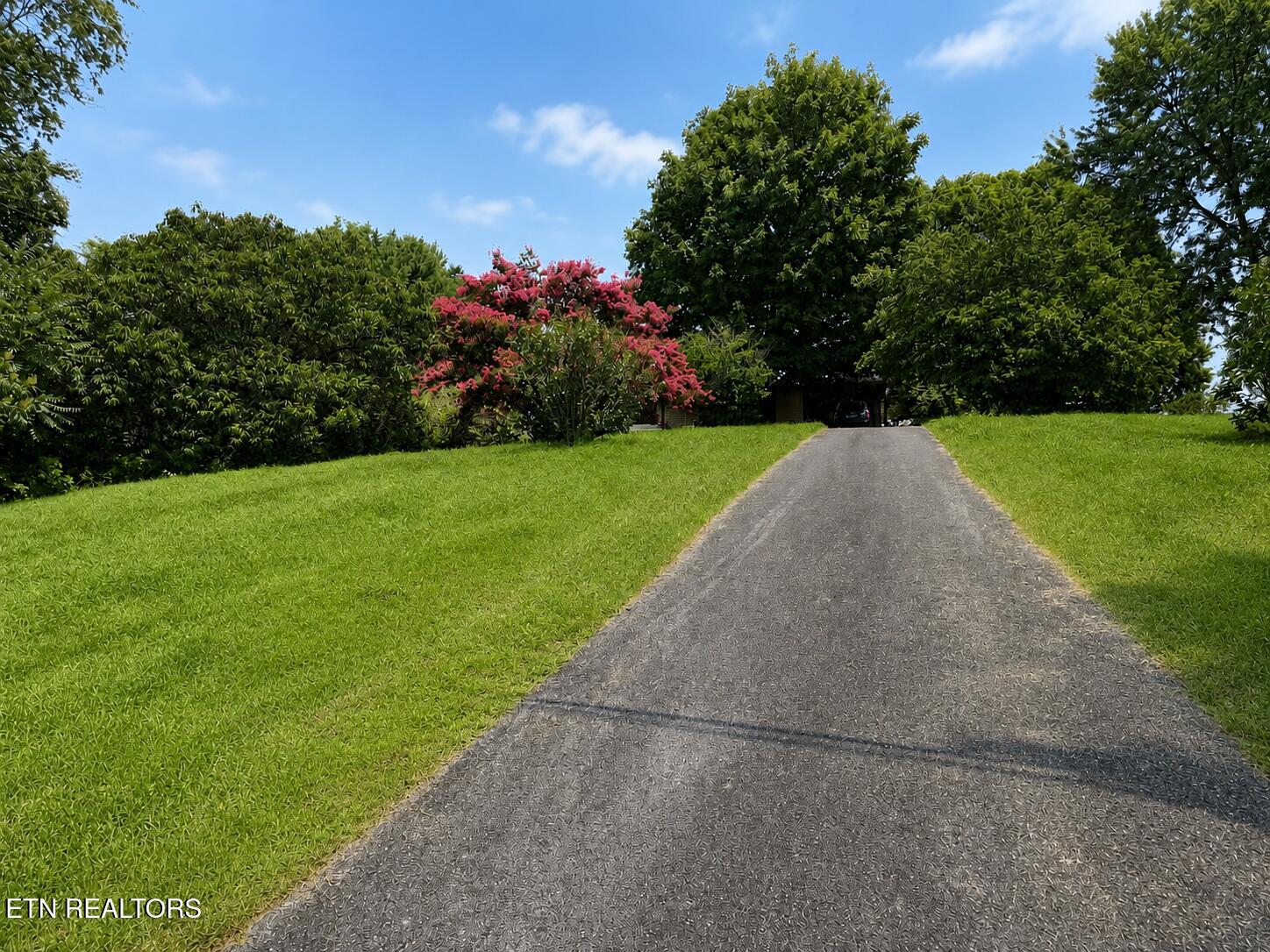 1237 Faith Lane Dandridge TN 37725