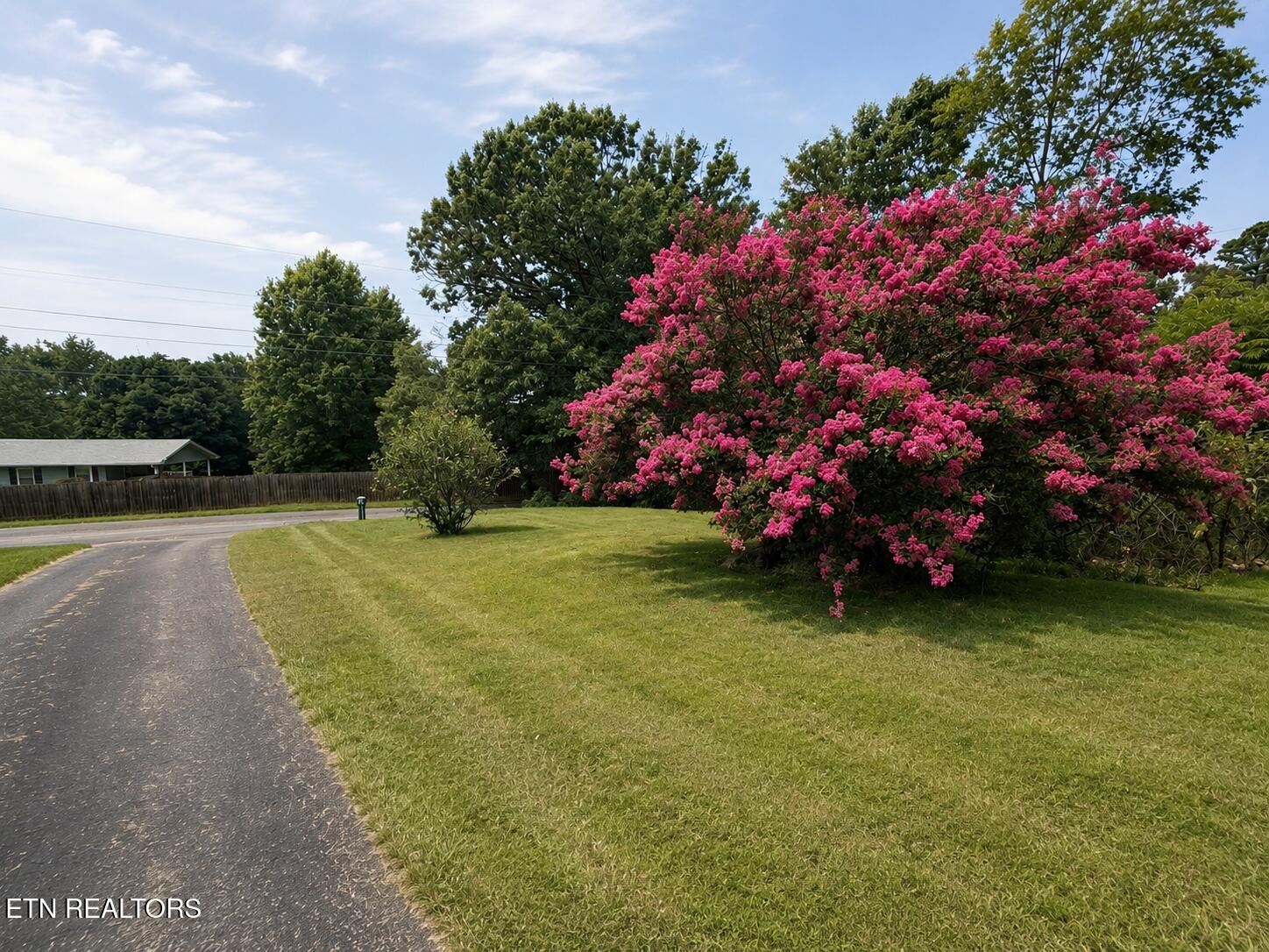 1237 Faith Lane Dandridge TN 37725