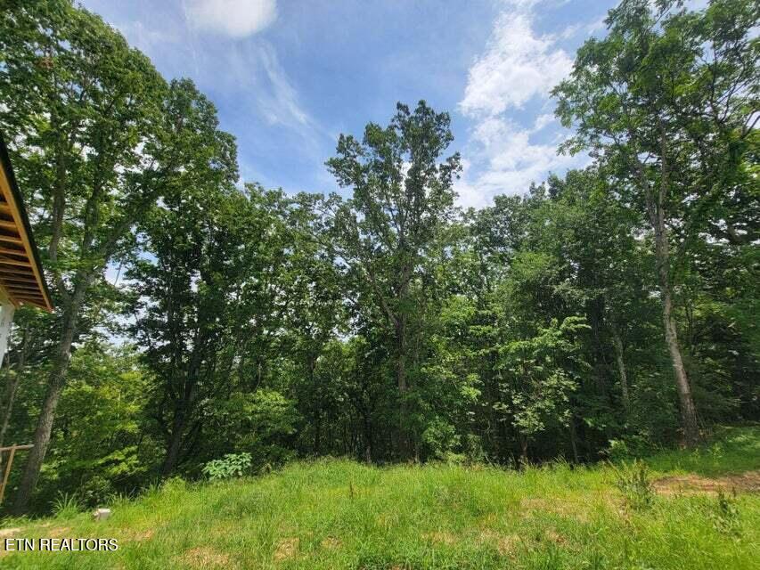 140 Mary Brown Lane Rockwood TN 37854