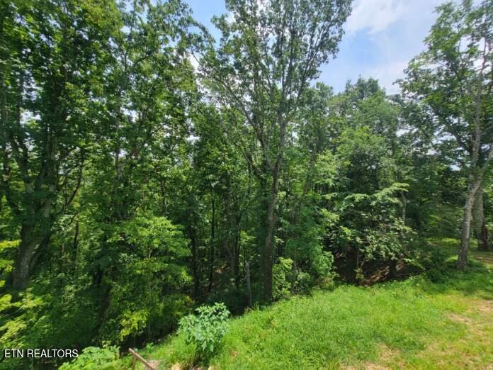 140 Mary Brown Lane Rockwood TN 37854