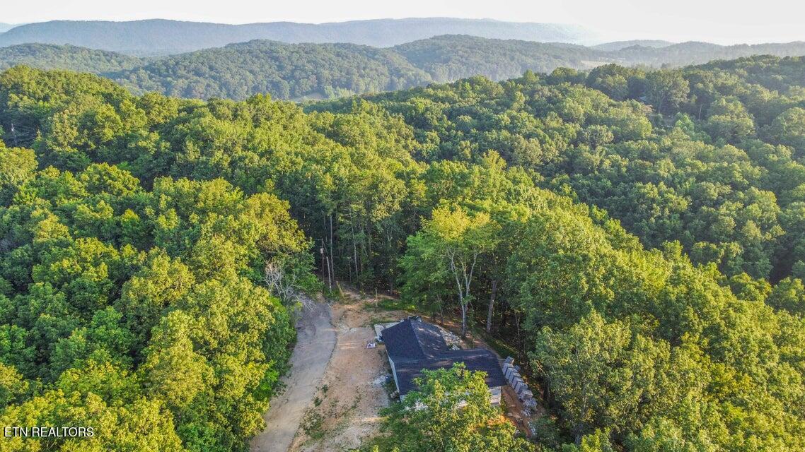 140 Mary Brown Lane Rockwood TN 37854
