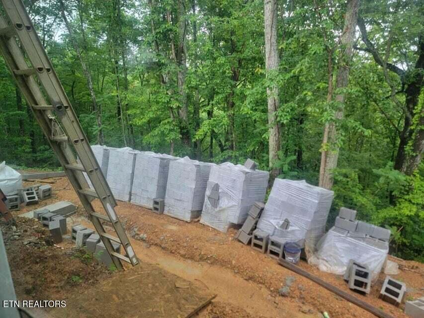 140 Mary Brown Lane Rockwood TN 37854