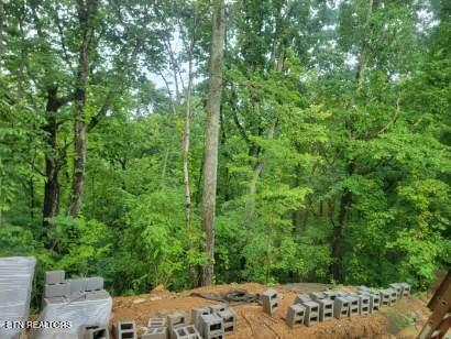 140 Mary Brown Lane Rockwood TN 37854