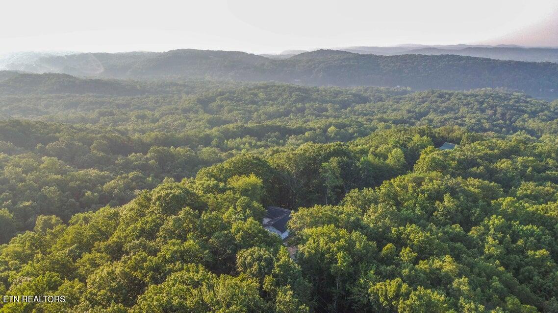 140 Mary Brown Lane Rockwood TN 37854