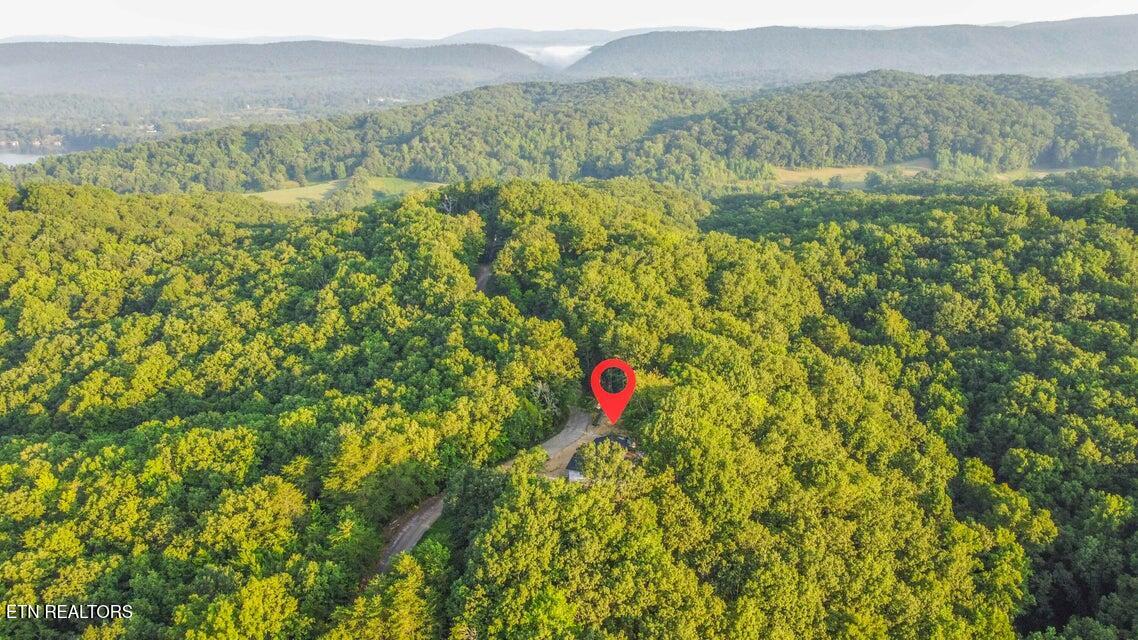 140 Mary Brown Lane Rockwood TN 37854