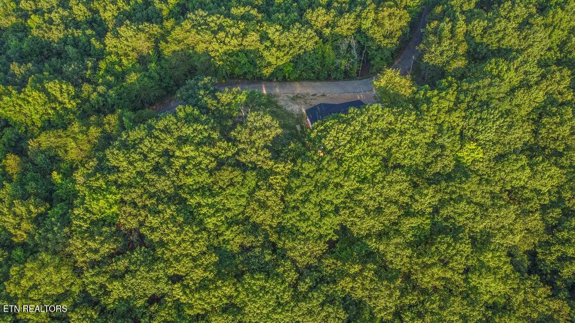 140 Mary Brown Lane Rockwood TN 37854