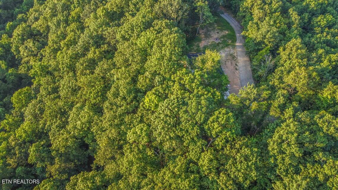140 Mary Brown Lane Rockwood TN 37854