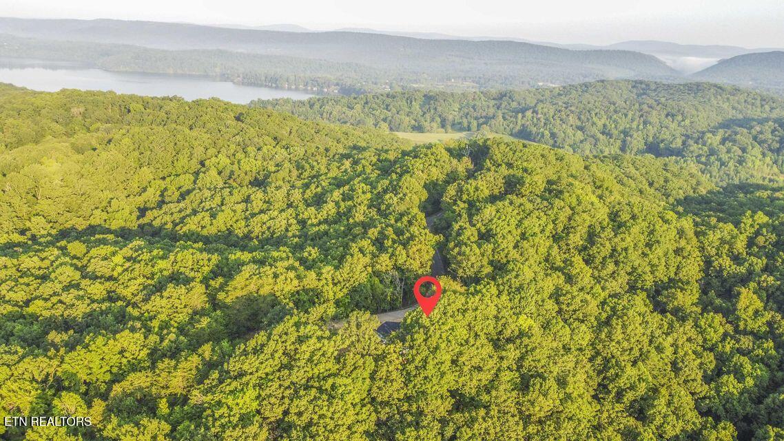 140 Mary Brown Lane Rockwood TN 37854