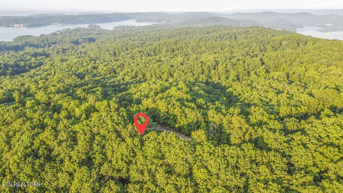 140 Mary Brown Lane Rockwood TN 37854