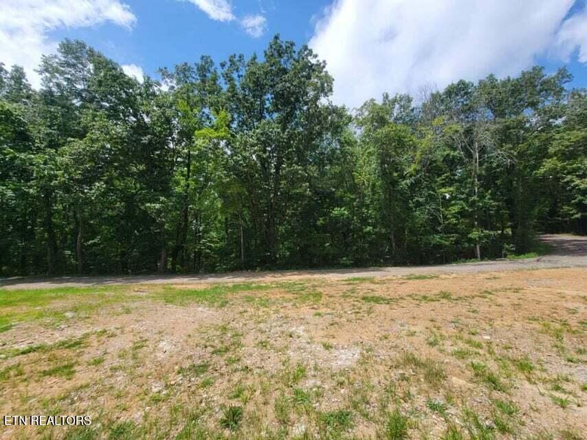 140 Mary Brown Lane Rockwood TN 37854