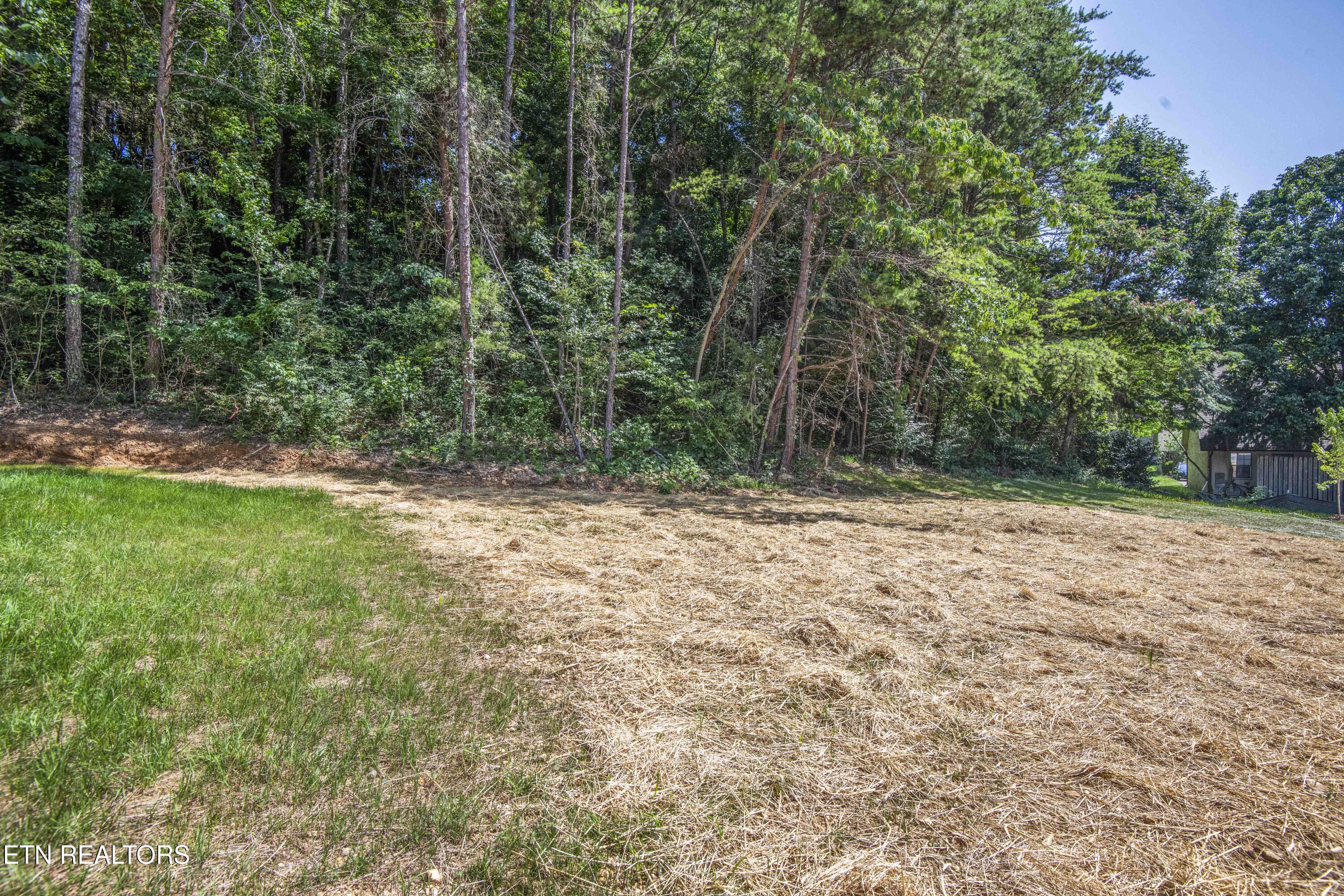 2008 Woods-smith Road Knoxville TN 37921