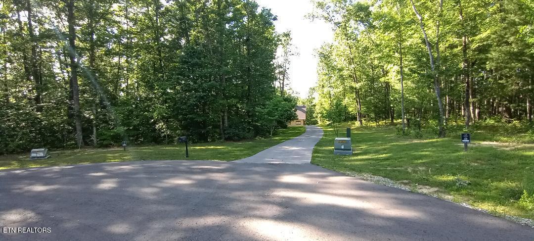 440 Falls Lane Oneida TN 37841