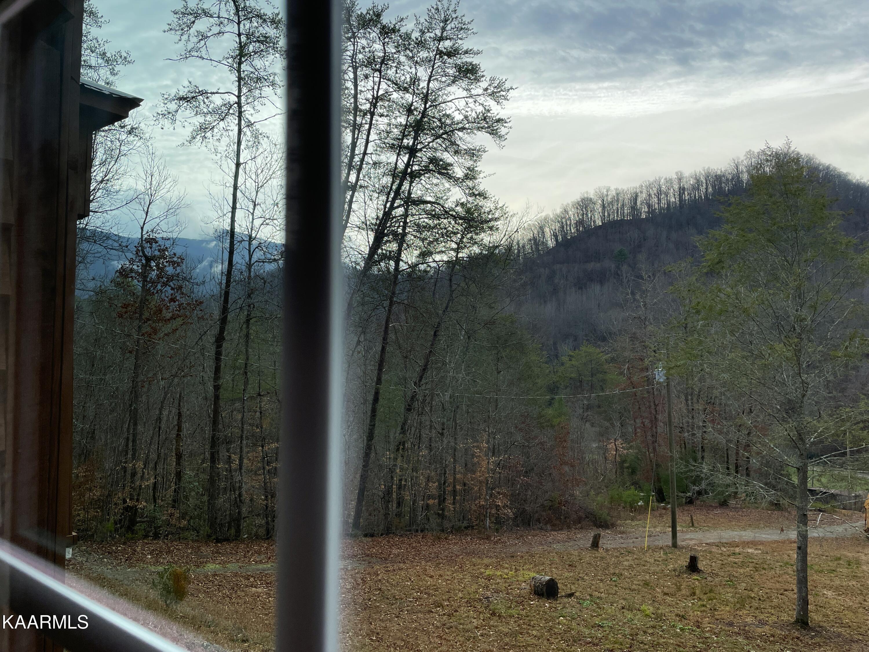 816 Barker Branch Del Rio TN 37727