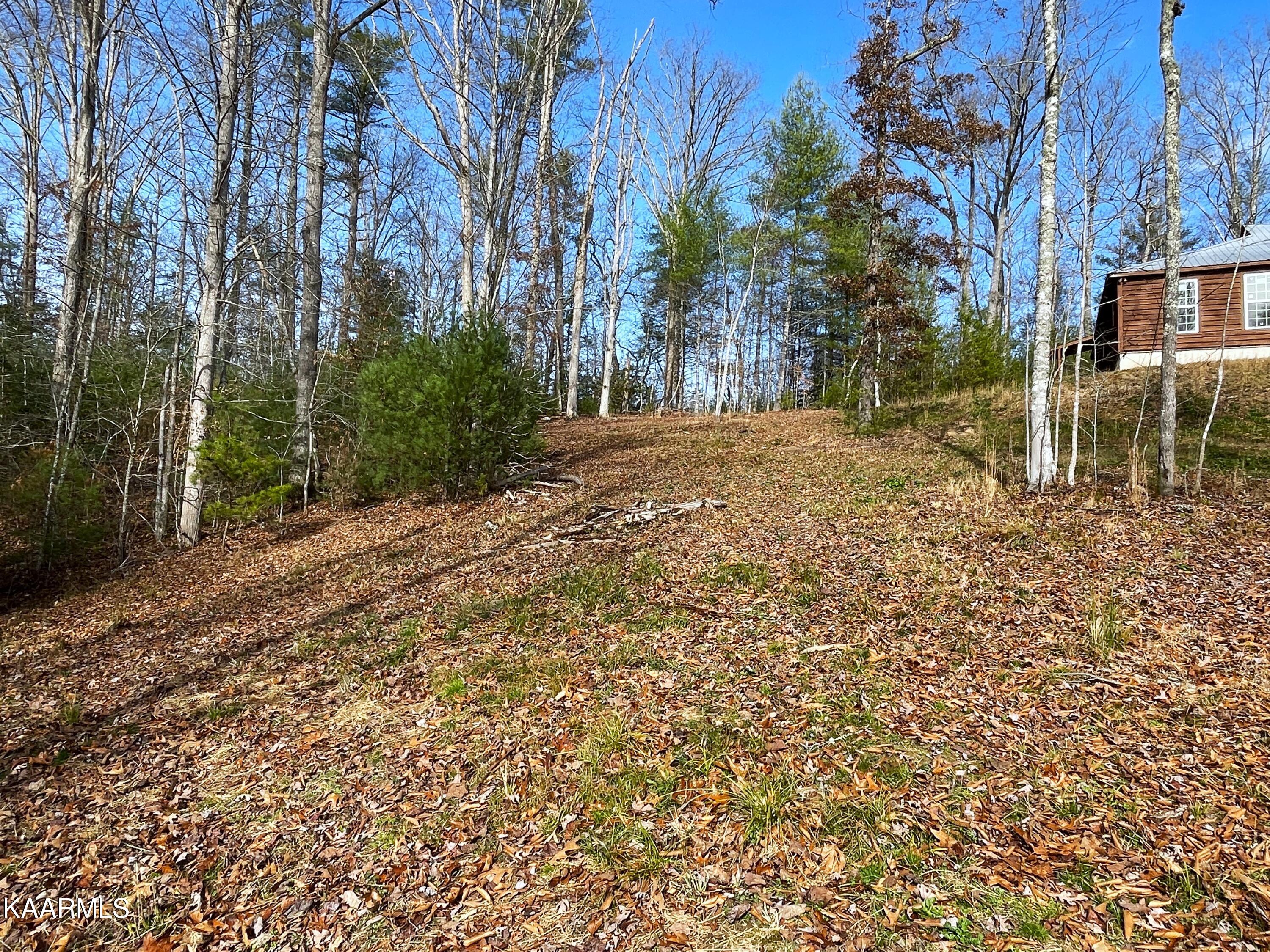 816 Barker Branch Del Rio TN 37727