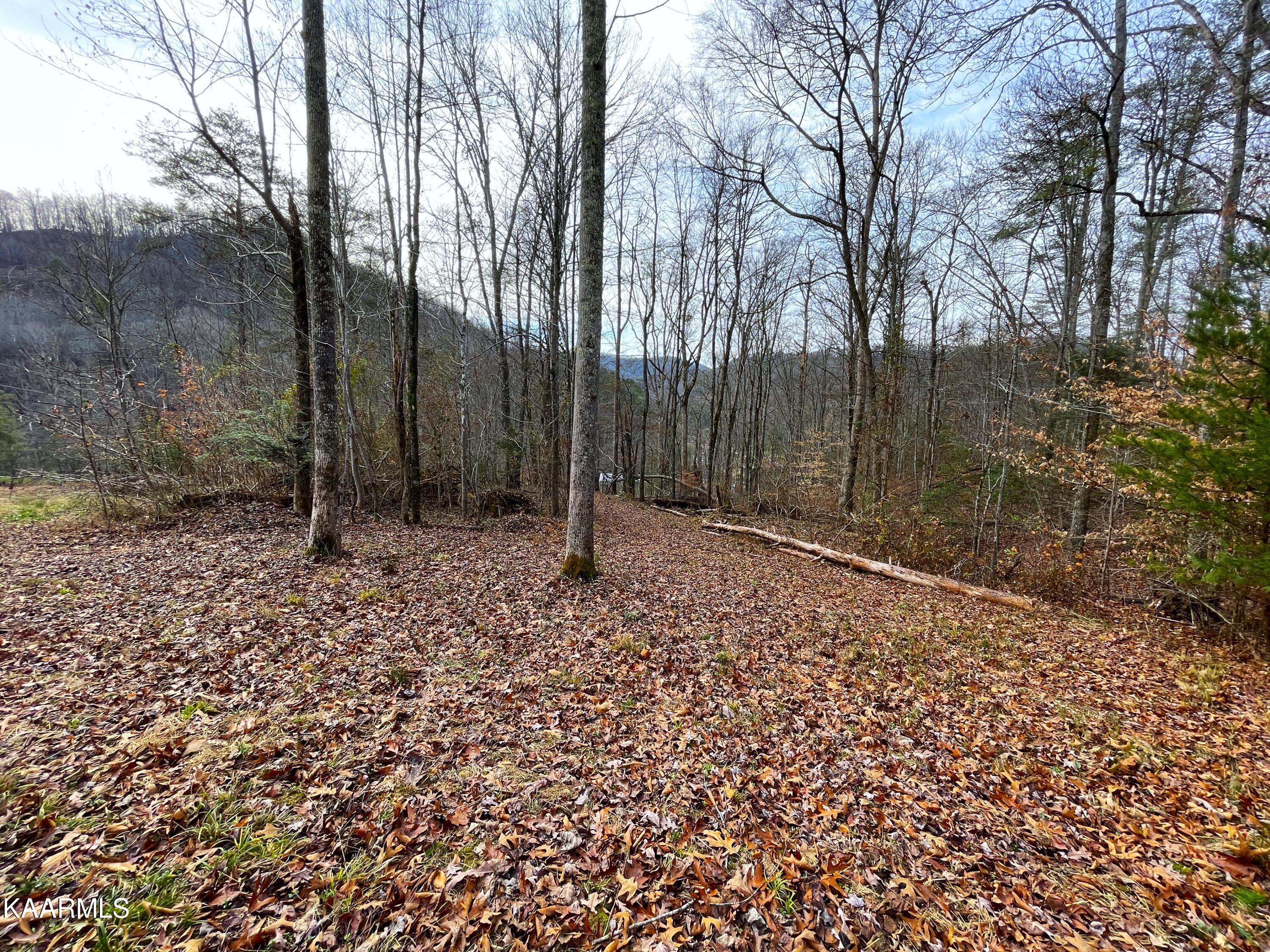 816 Barker Branch Del Rio TN 37727