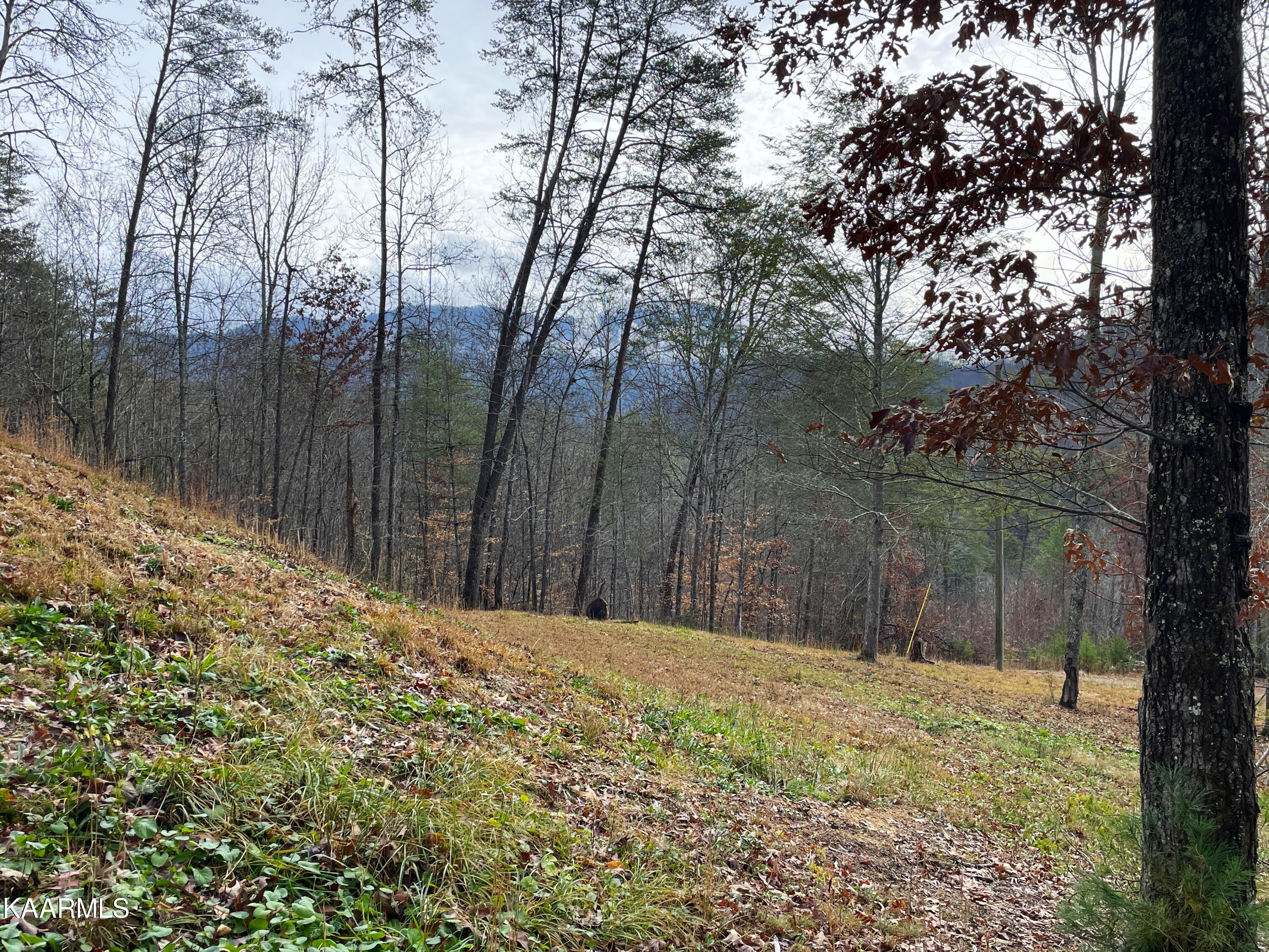 816 Barker Branch Del Rio TN 37727