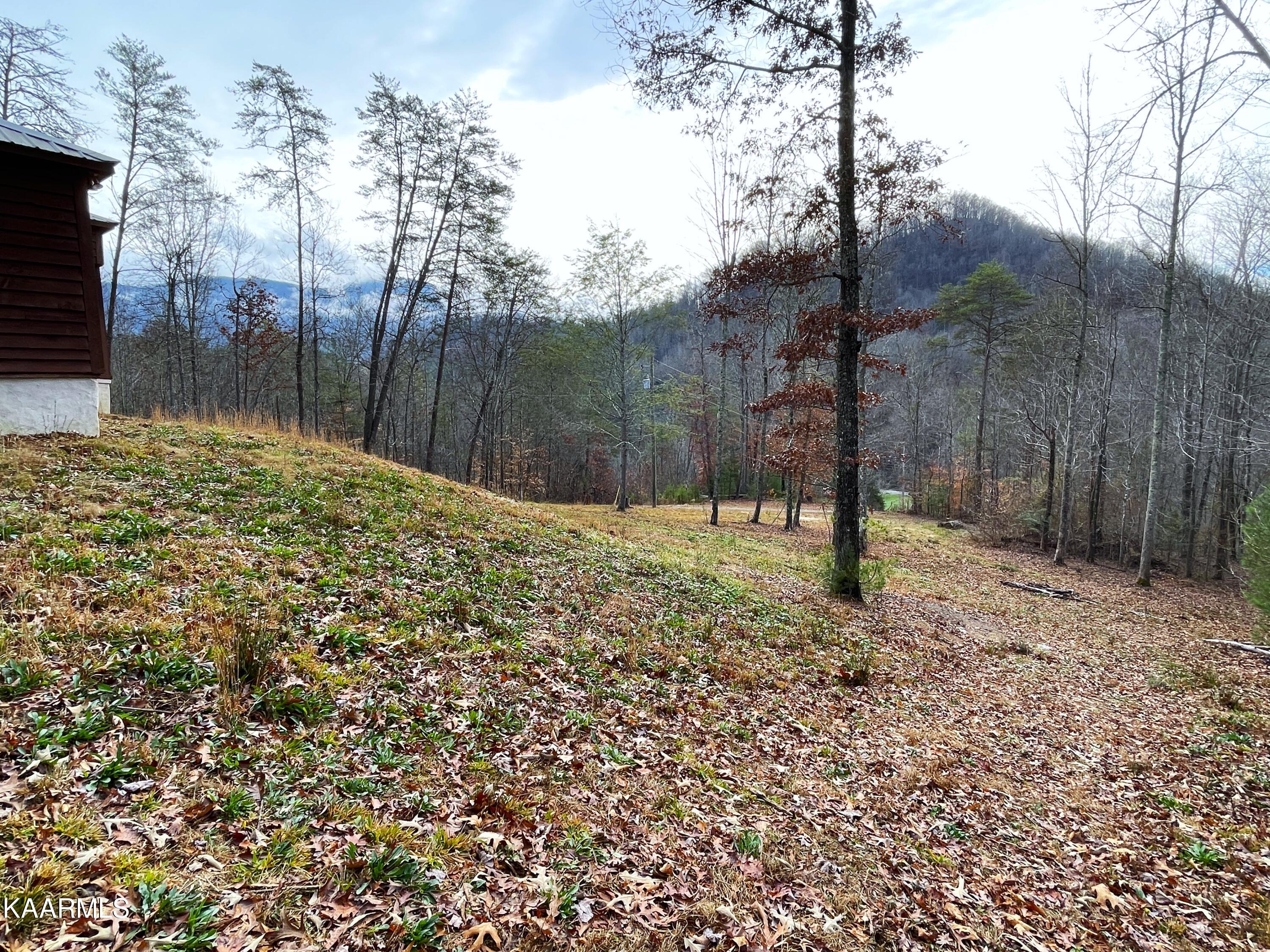 816 Barker Branch Del Rio TN 37727