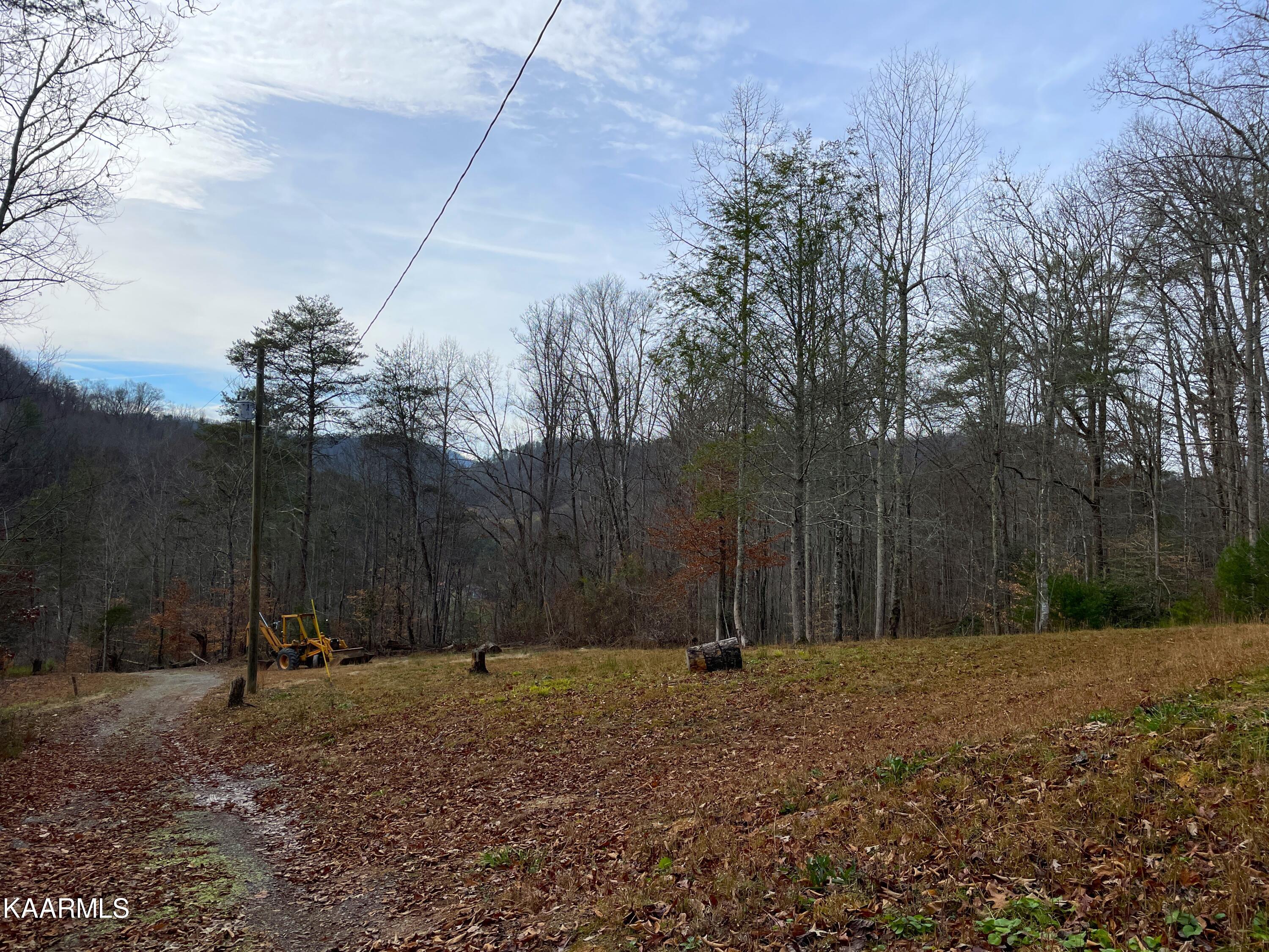 816 Barker Branch Del Rio TN 37727