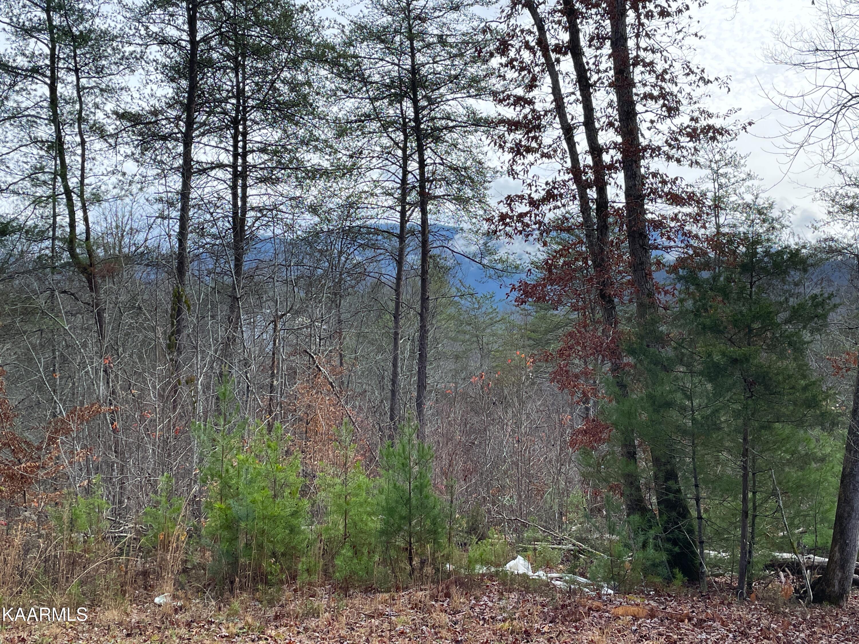 816 Barker Branch Del Rio TN 37727