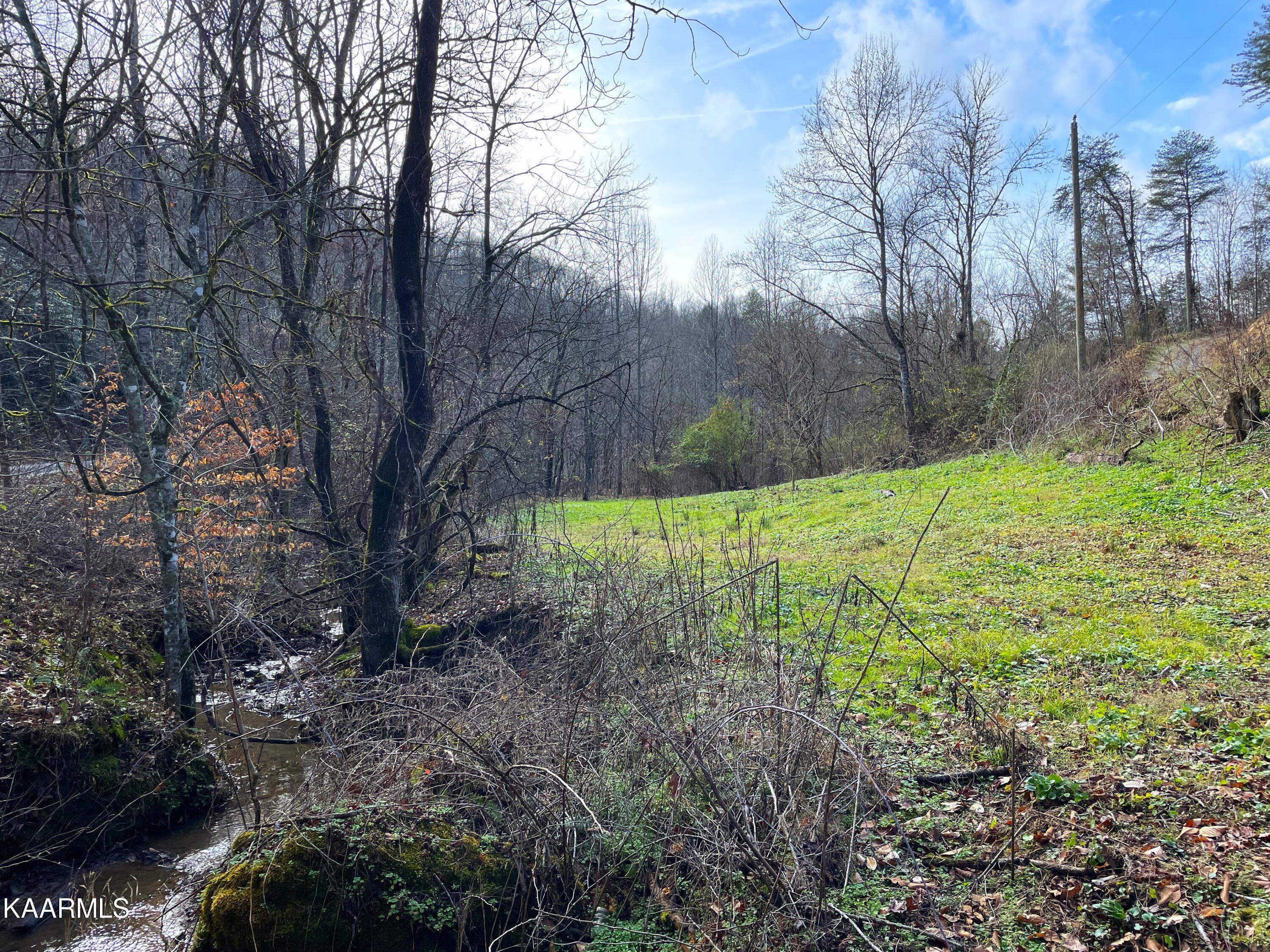 816 Barker Branch Del Rio TN 37727
