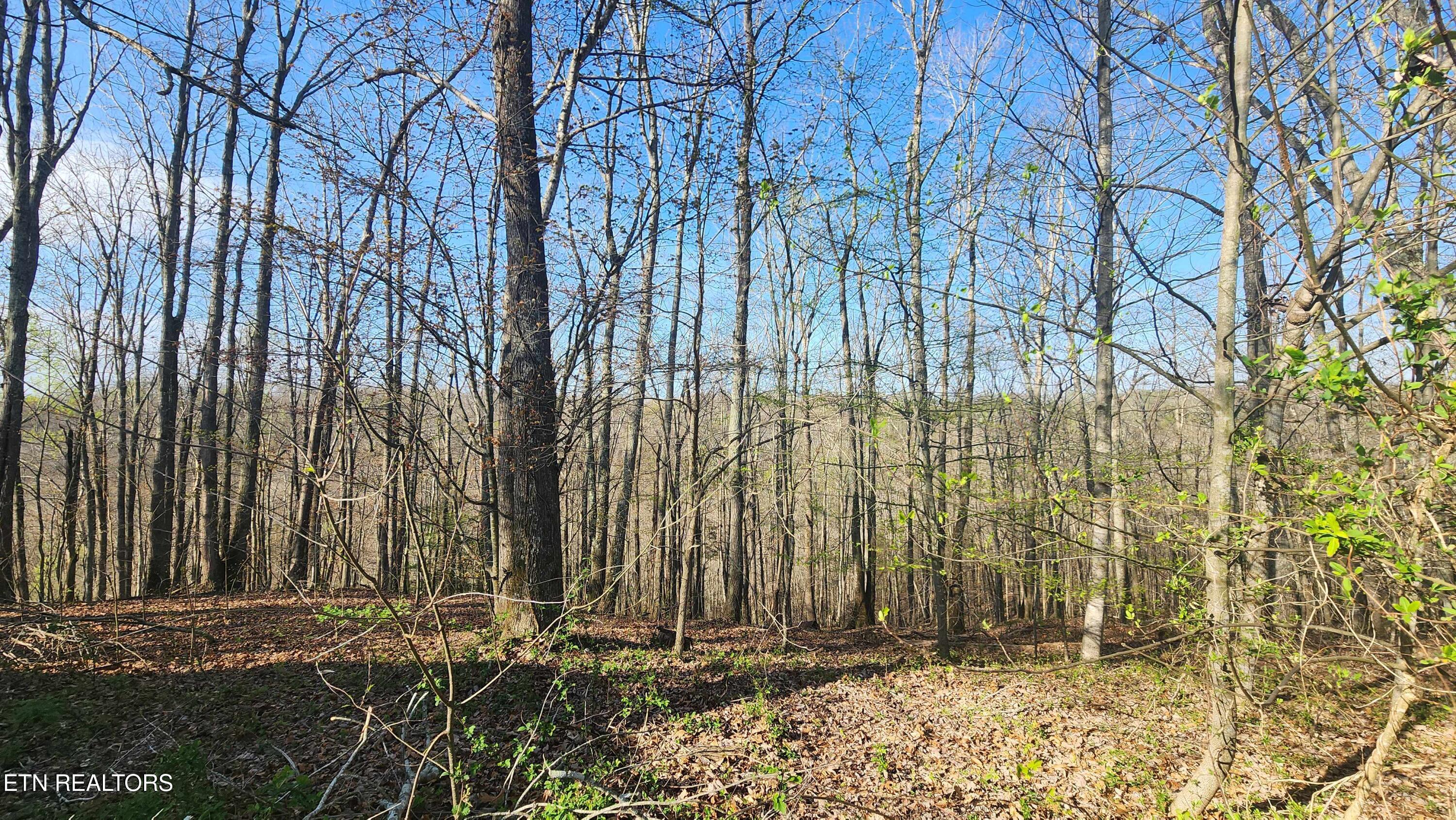 214 Don't Care Lane Celina TN 38551