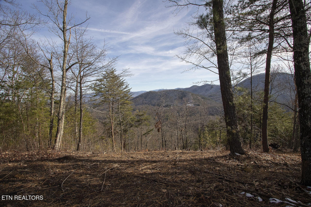 2050 E Millers Cove Road Walland TN 37886
