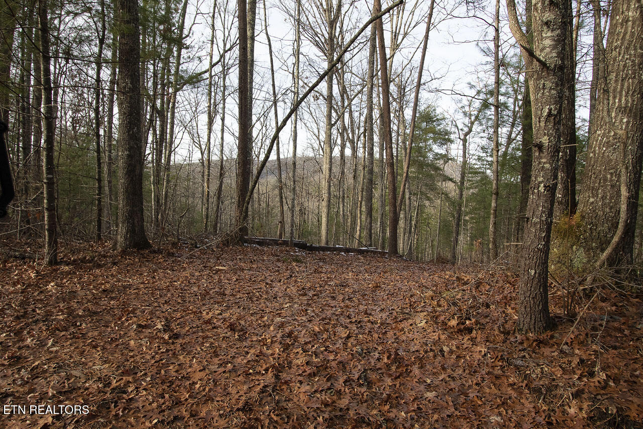 2050 E Millers Cove Road Walland TN 37886