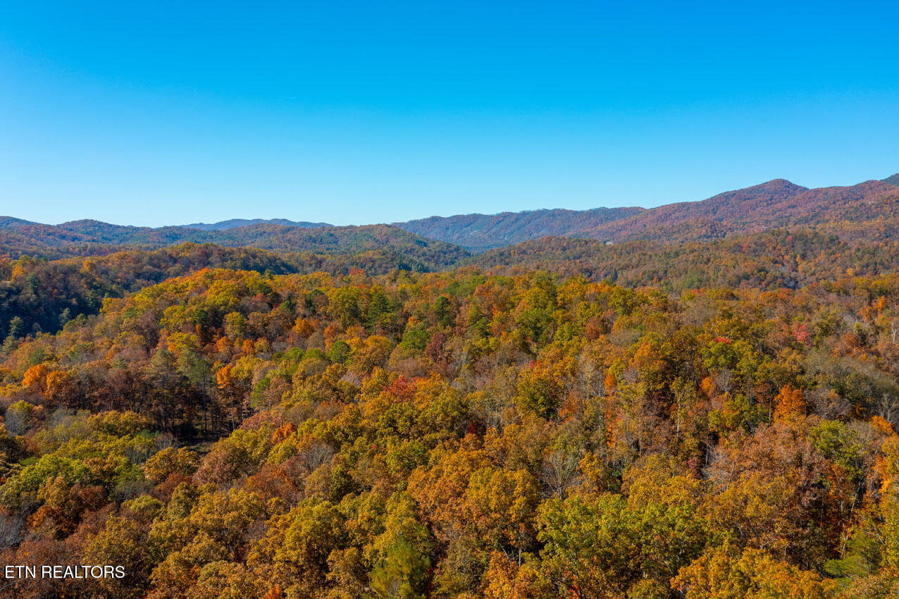 2050 E Millers Cove Road Walland TN 37886