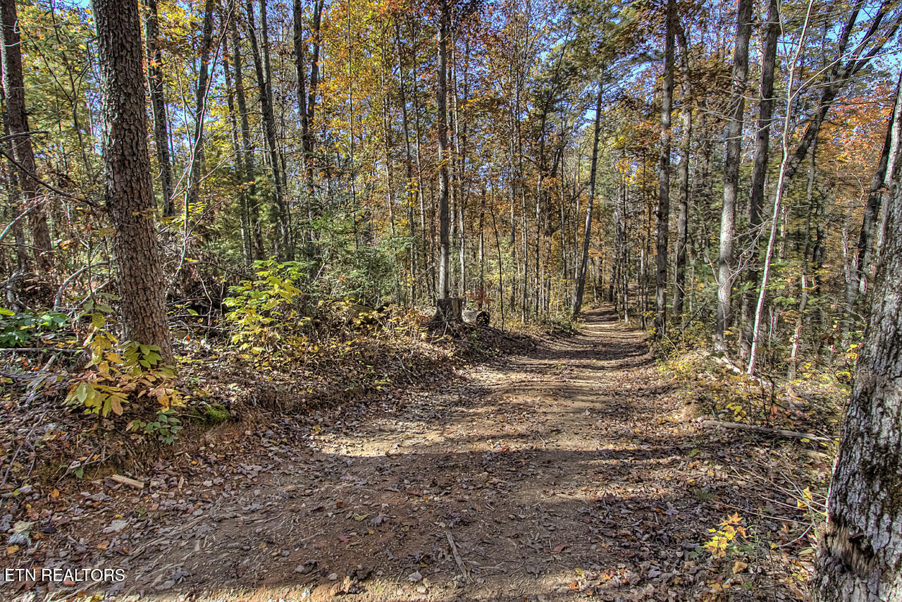 2050 E Millers Cove Road Walland TN 37886