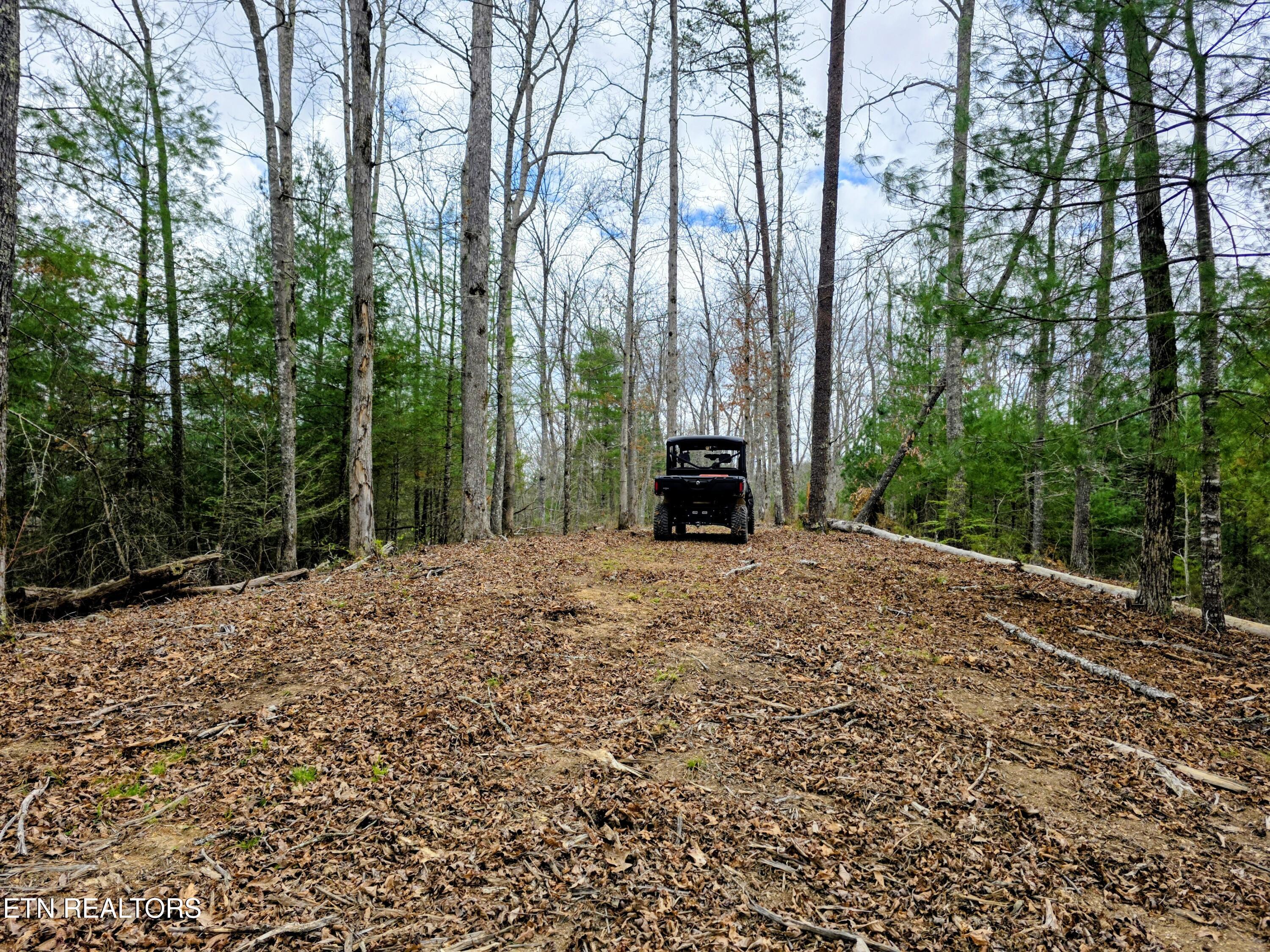 2050 E Millers Cove Road Walland TN 37886