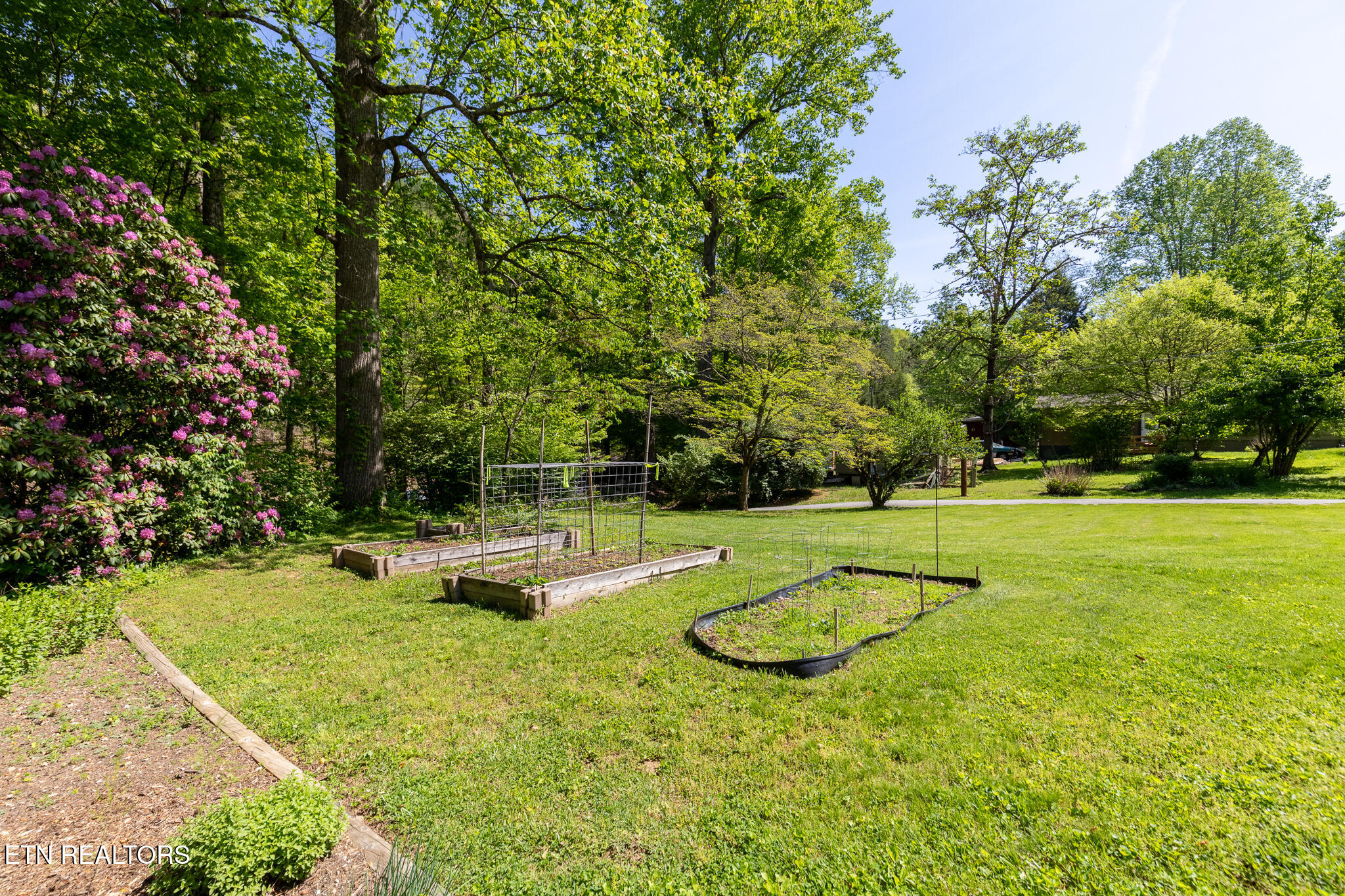 4527 E Scenic Drive Gatlinburg TN 37738