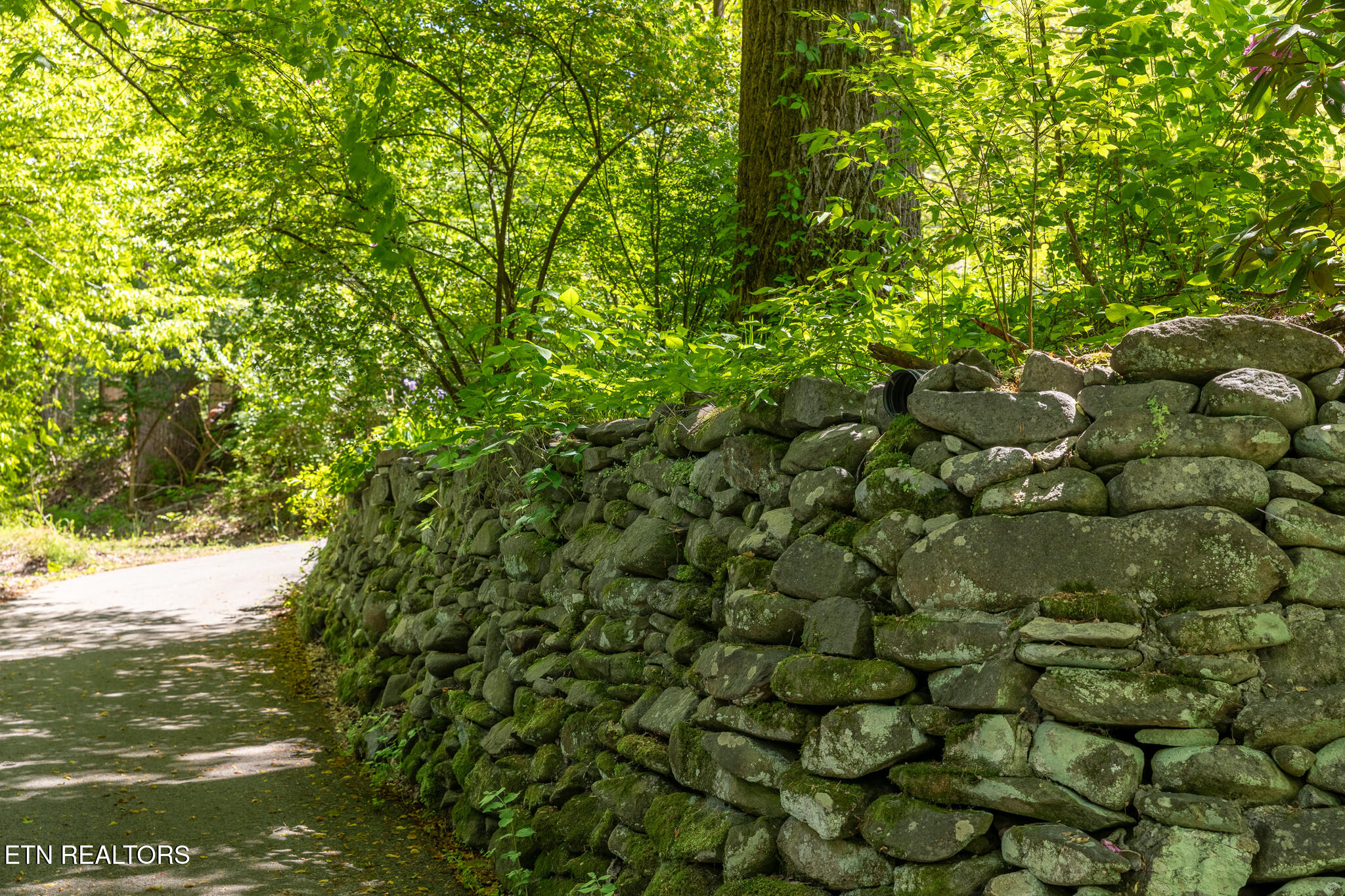 4527 E Scenic Drive Gatlinburg TN 37738