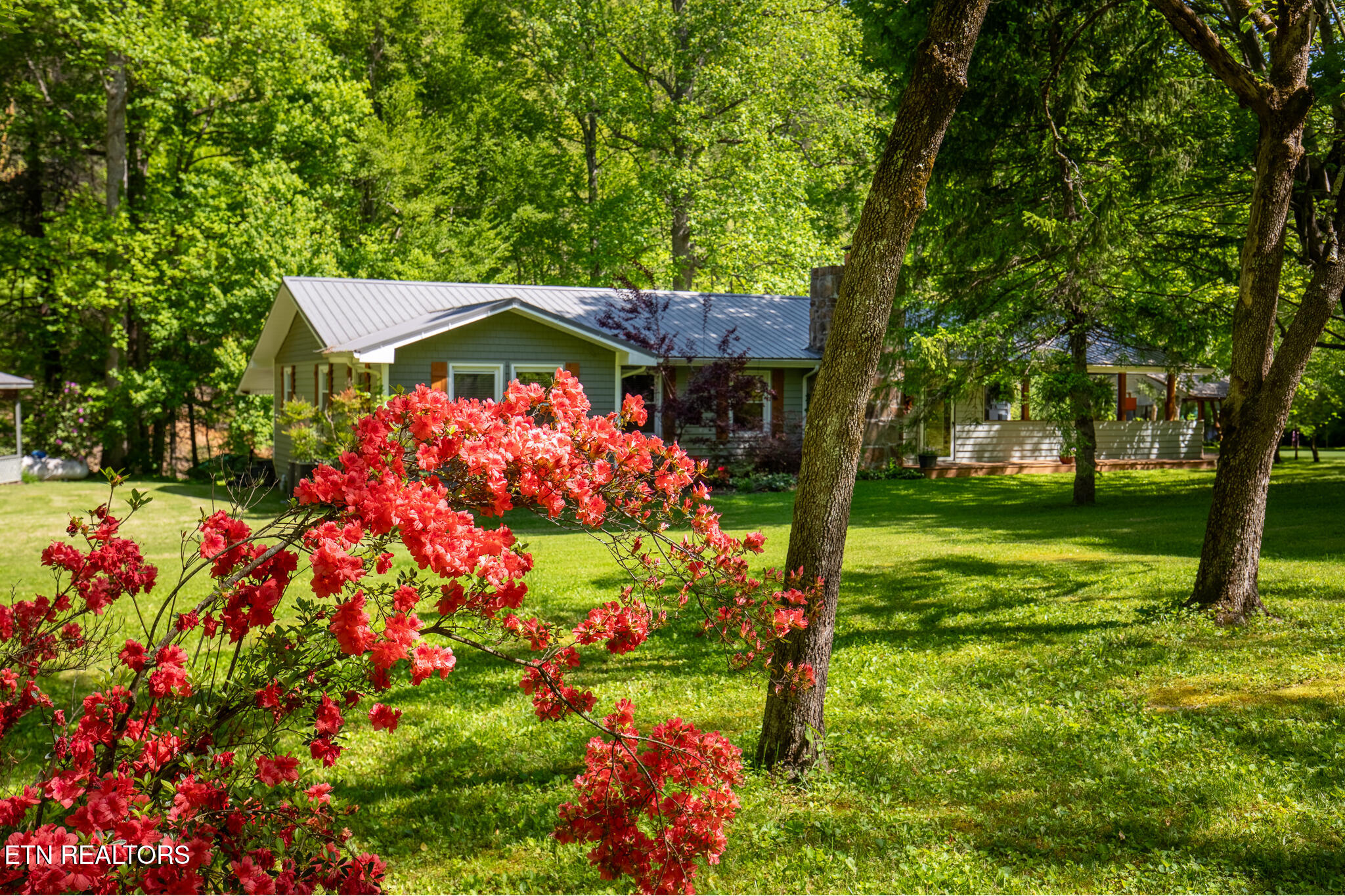 4527 E Scenic Drive Gatlinburg TN 37738